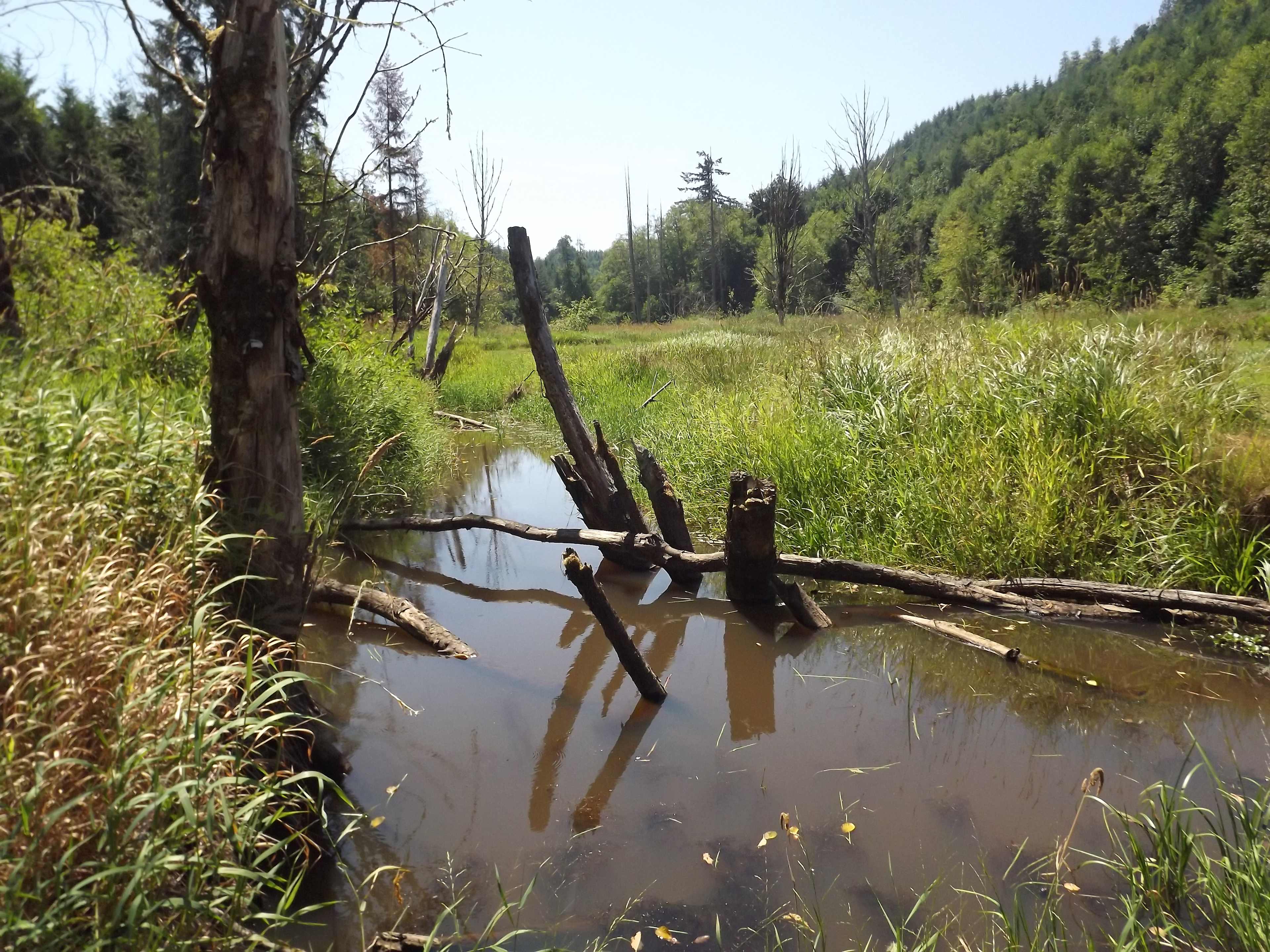view of the duck pond and the valley