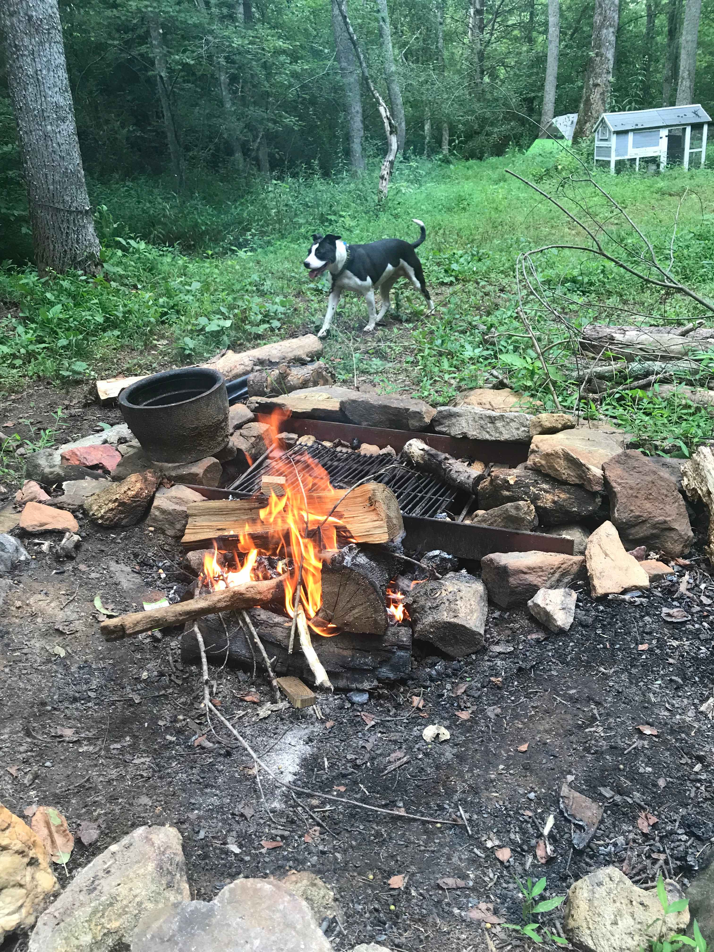 Our Stella Bella had such a great time. 