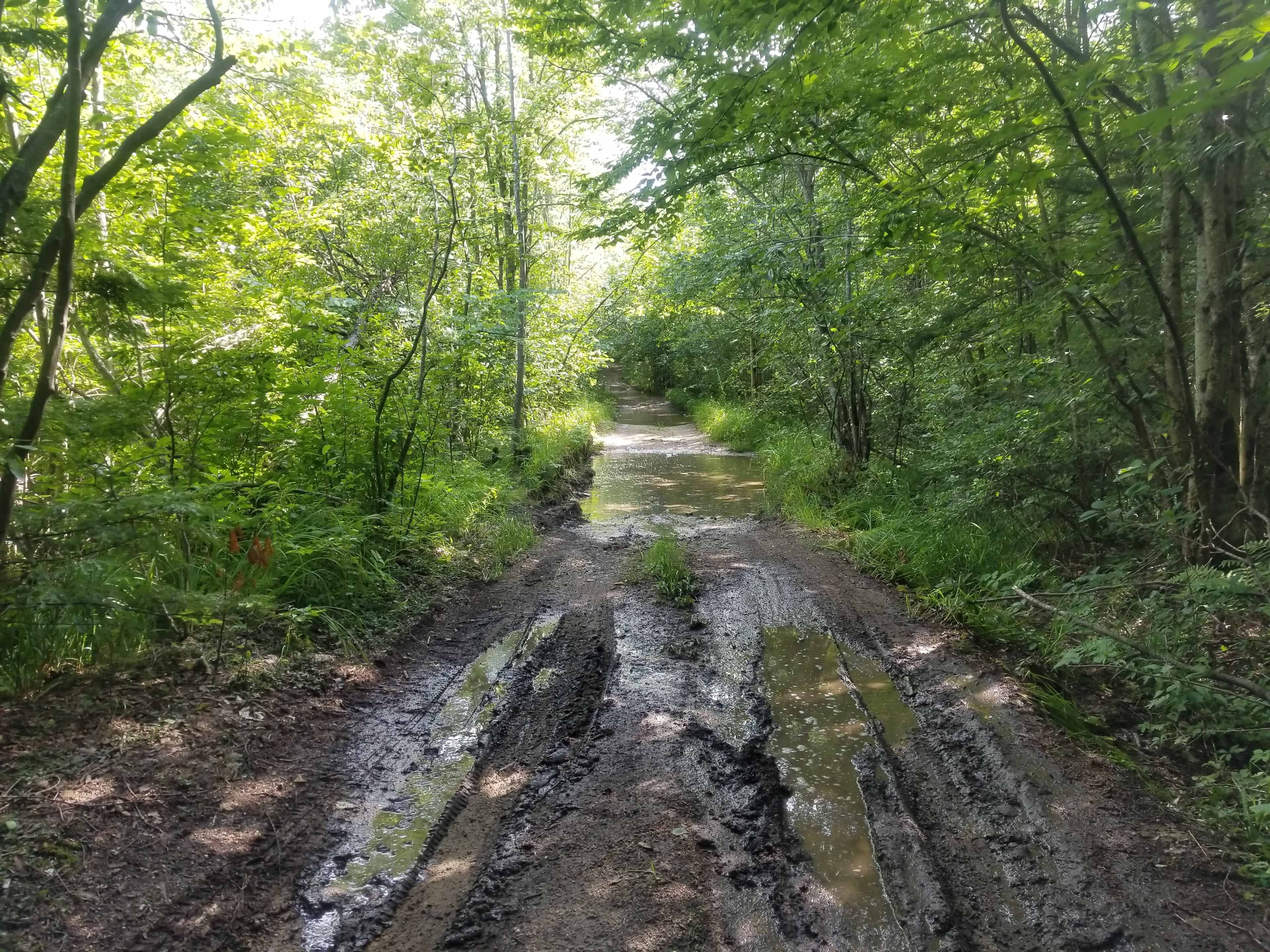Entrance is wet