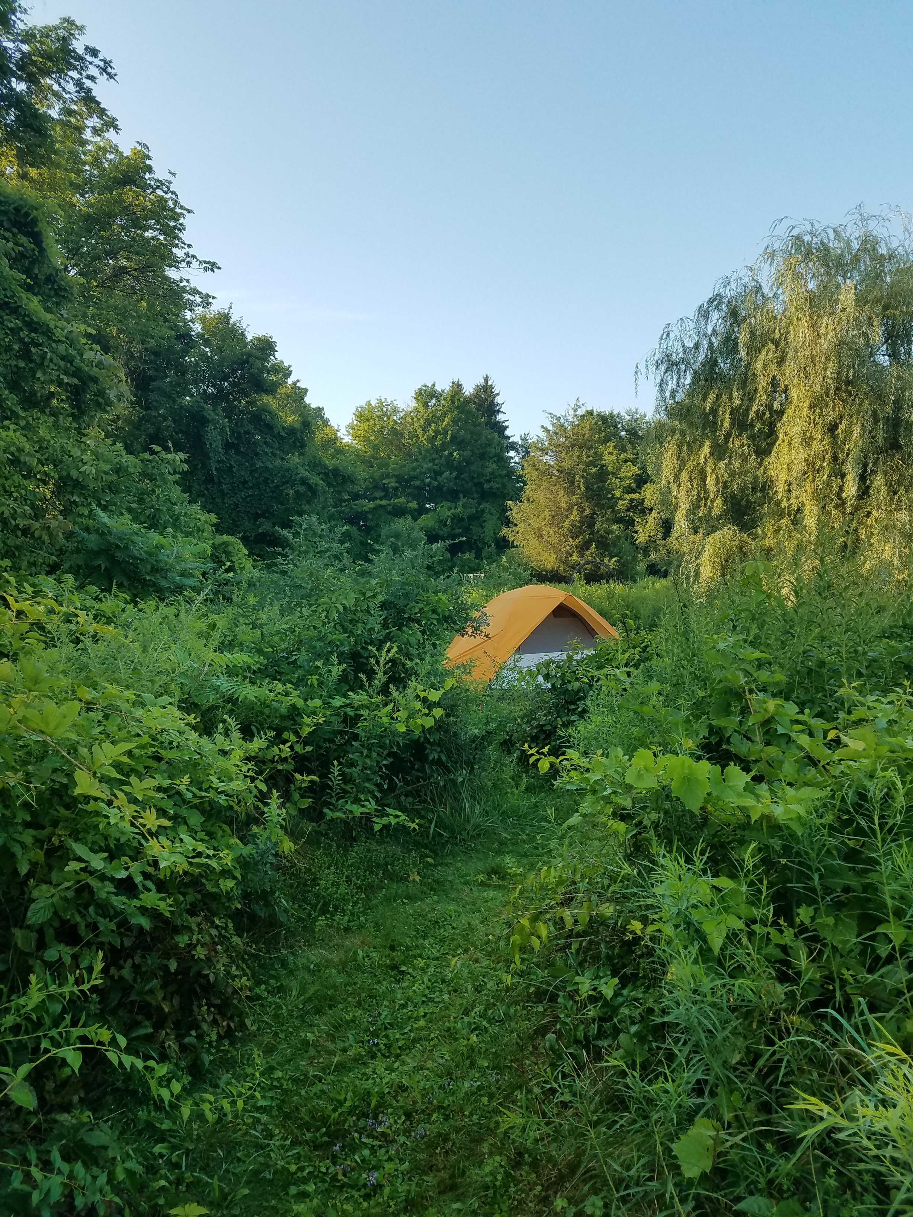 Picture of the site