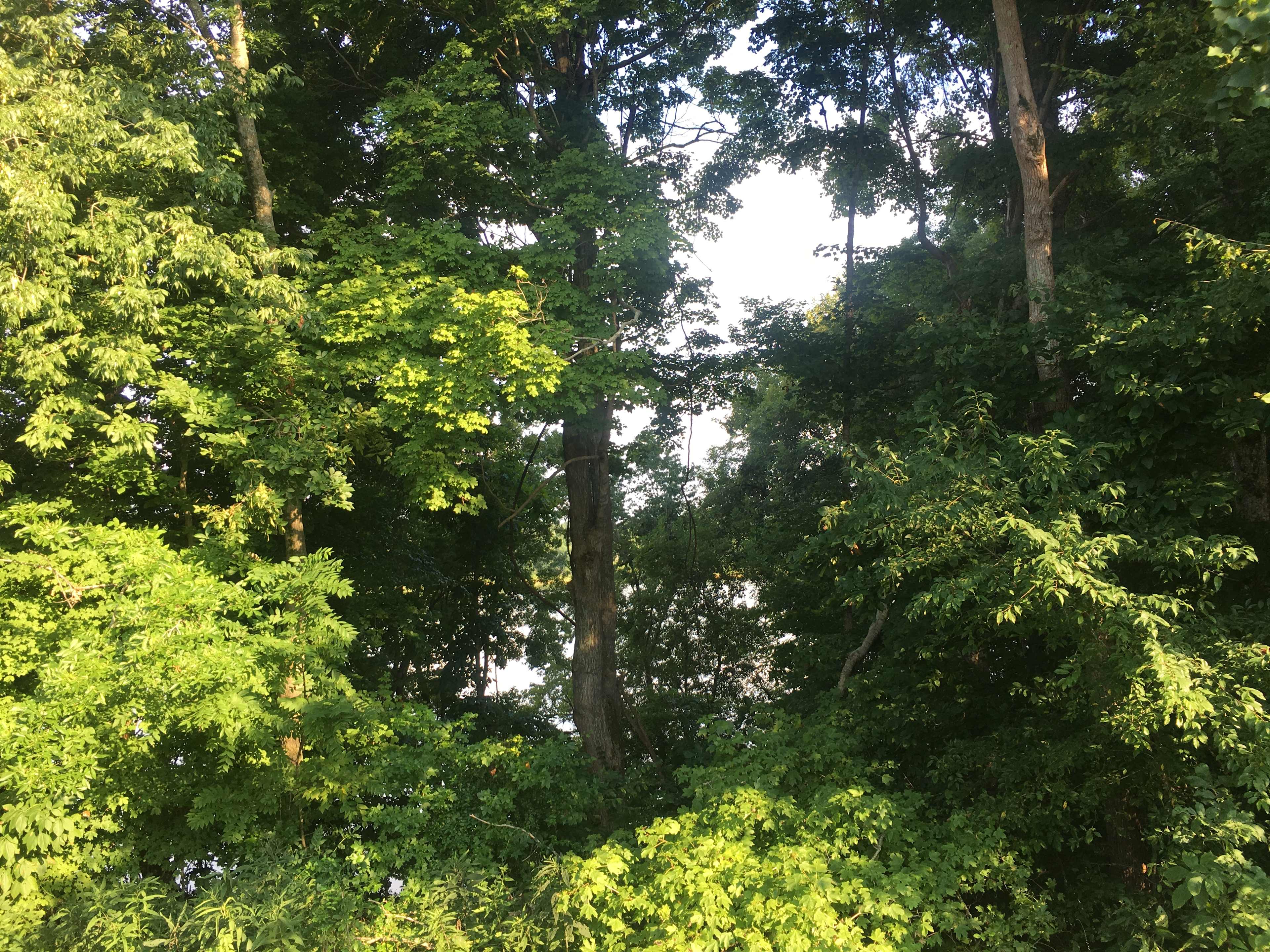 View of the water from camp site 1