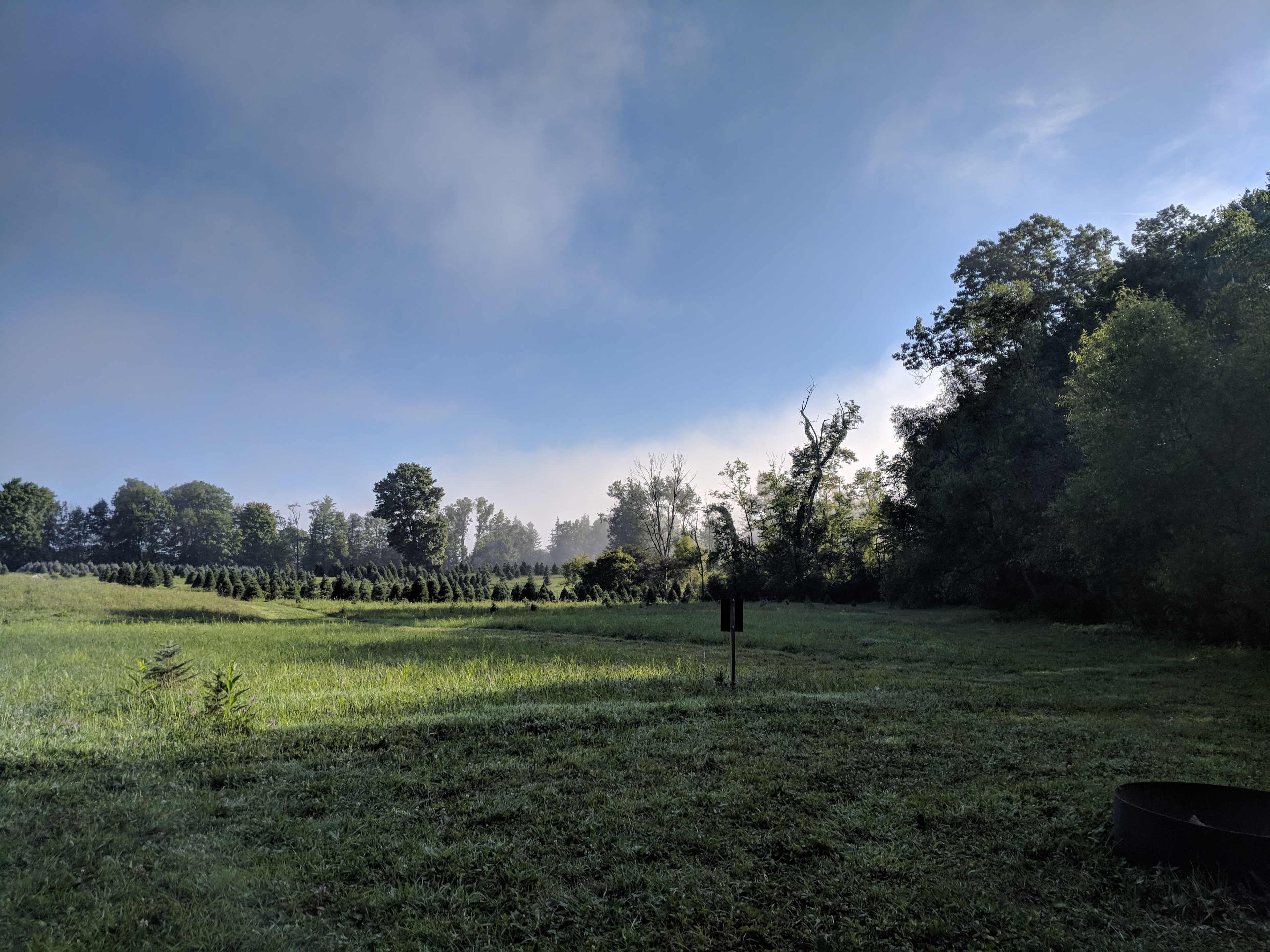 Picture of the site