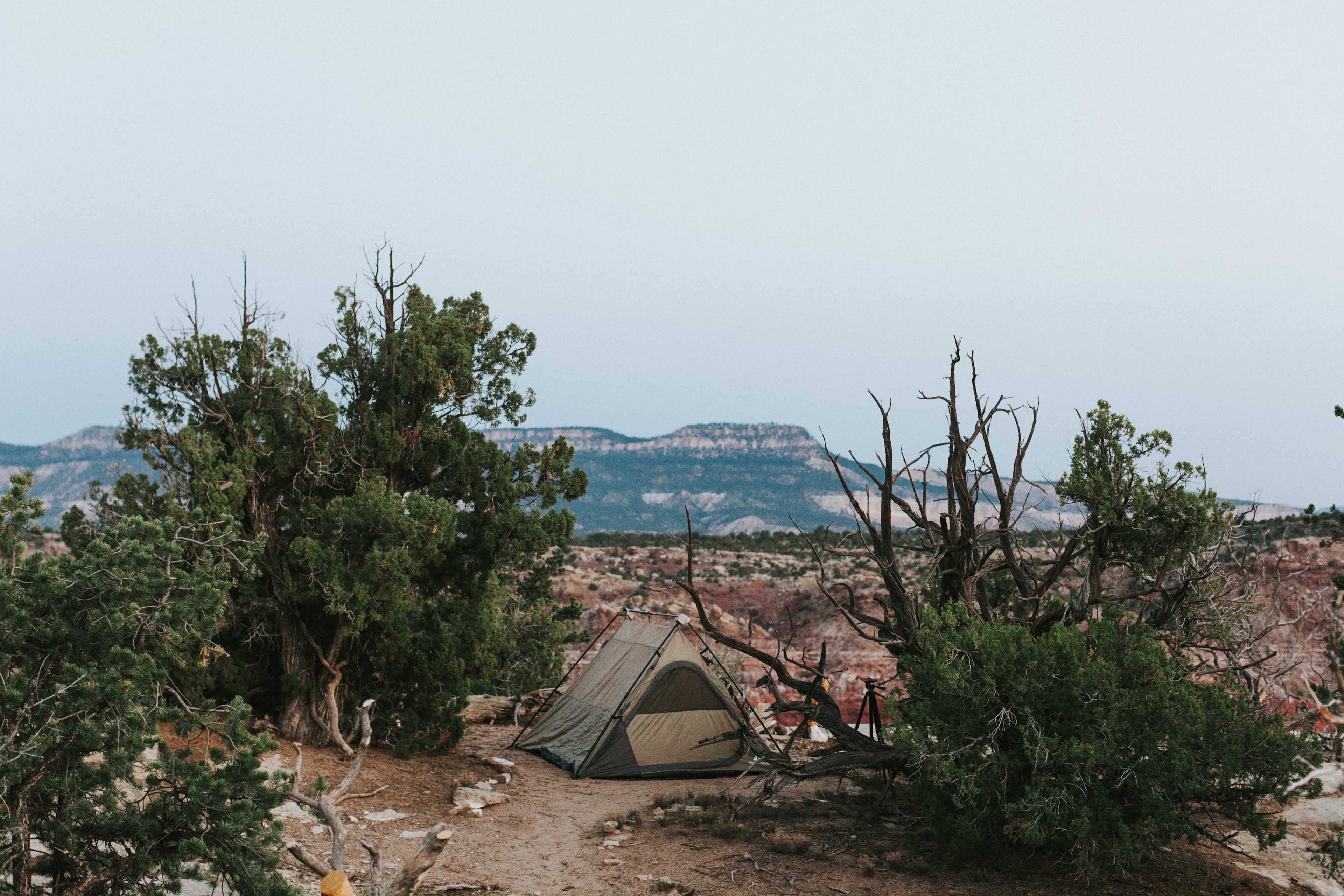 Mystical & Enchanted Desert Escape