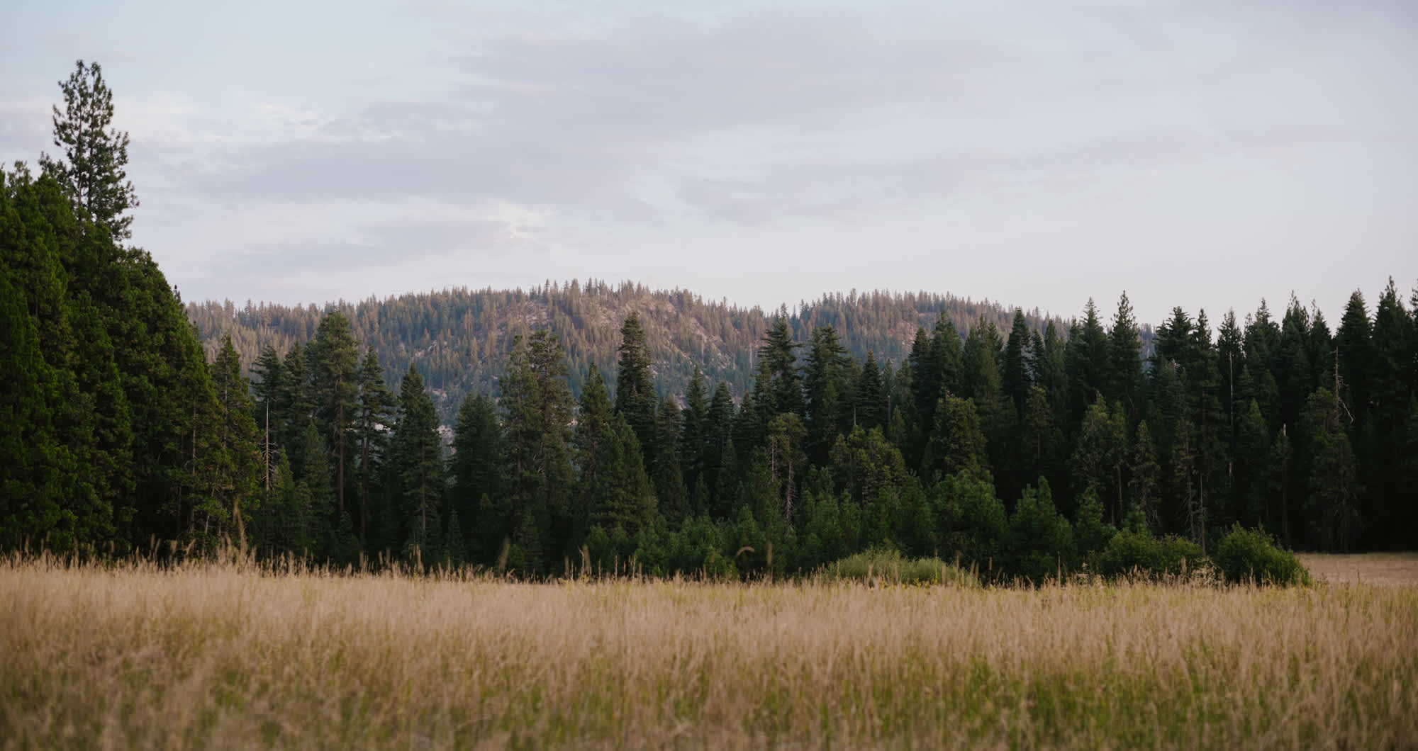 An open meadow to complete incredible sunsets. 