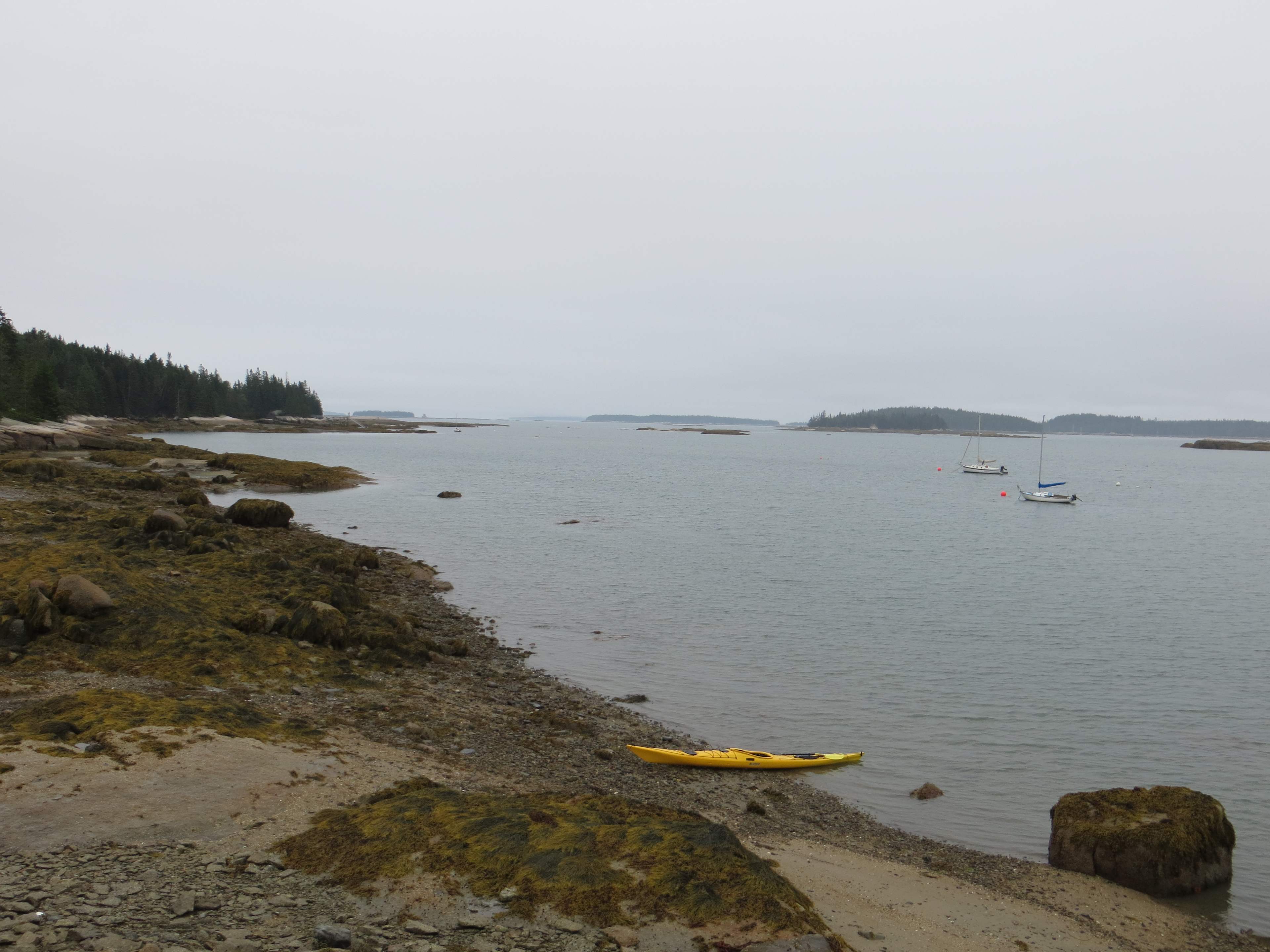 The shoreline at OQOA