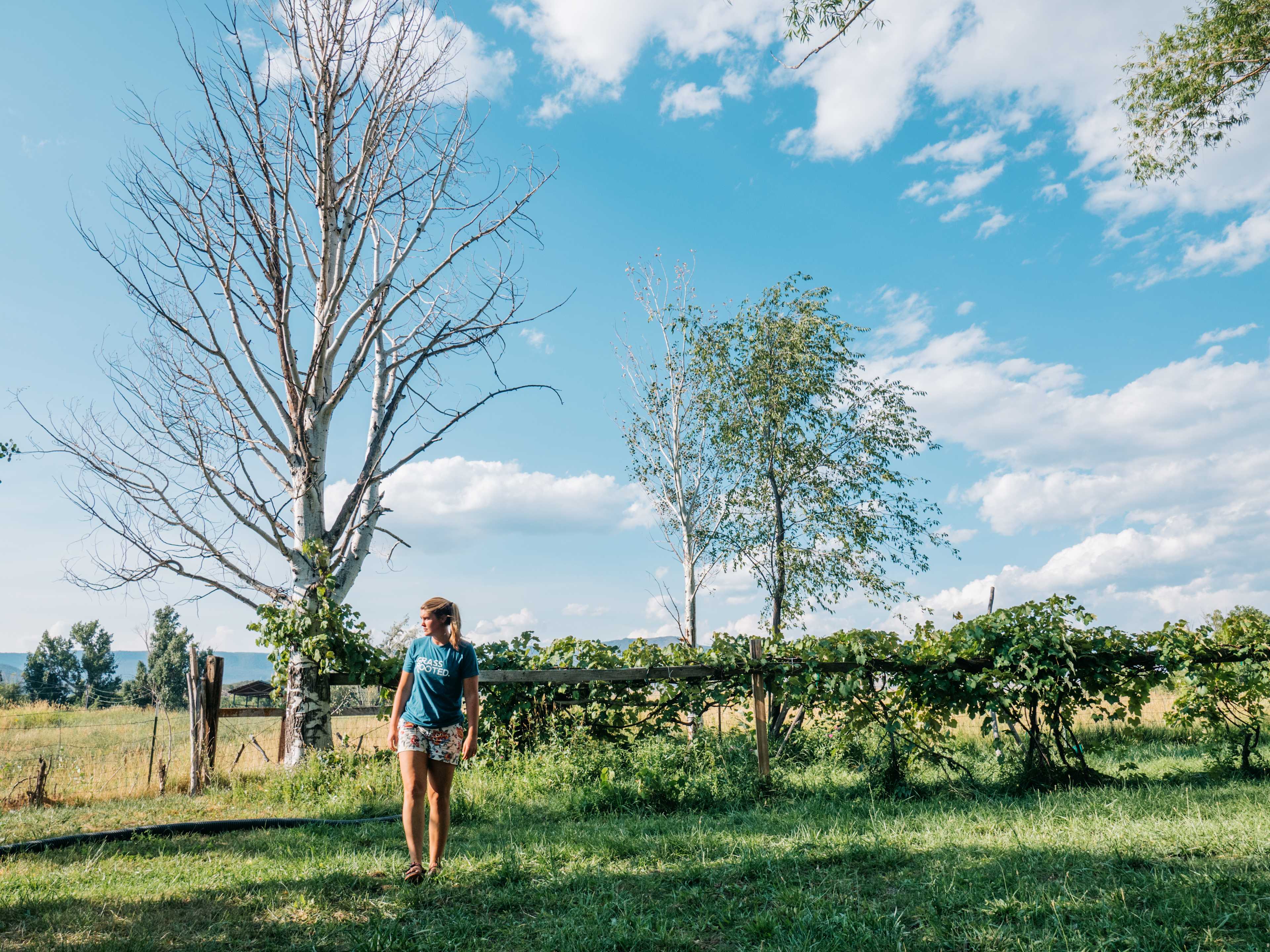 JuNo Farms Glamping