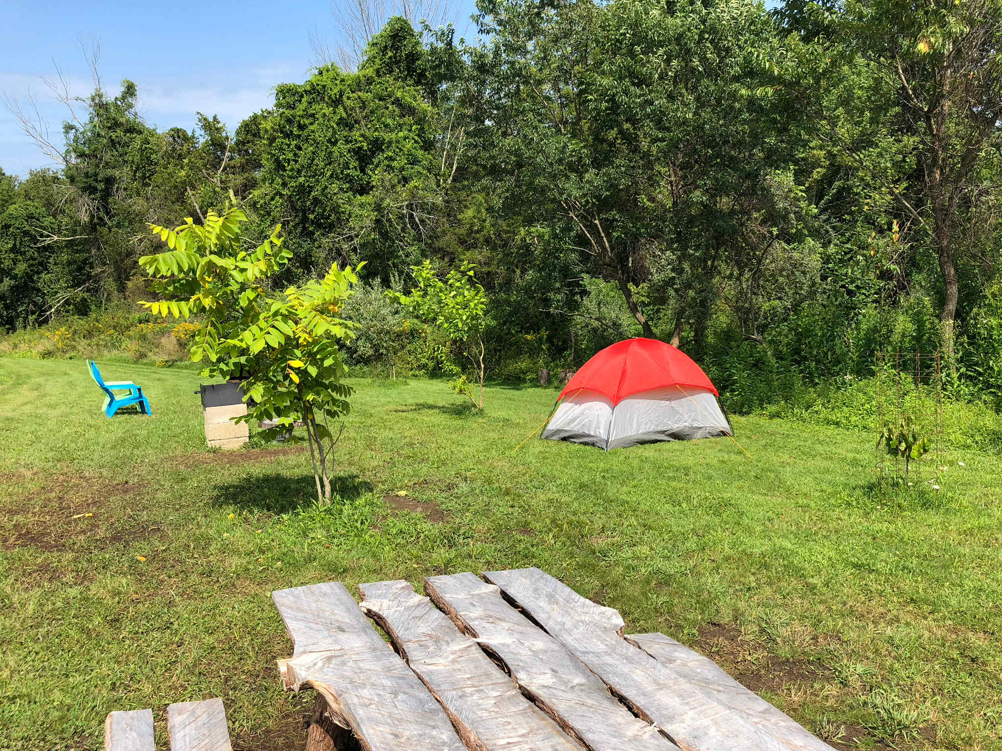 Picture of the site
