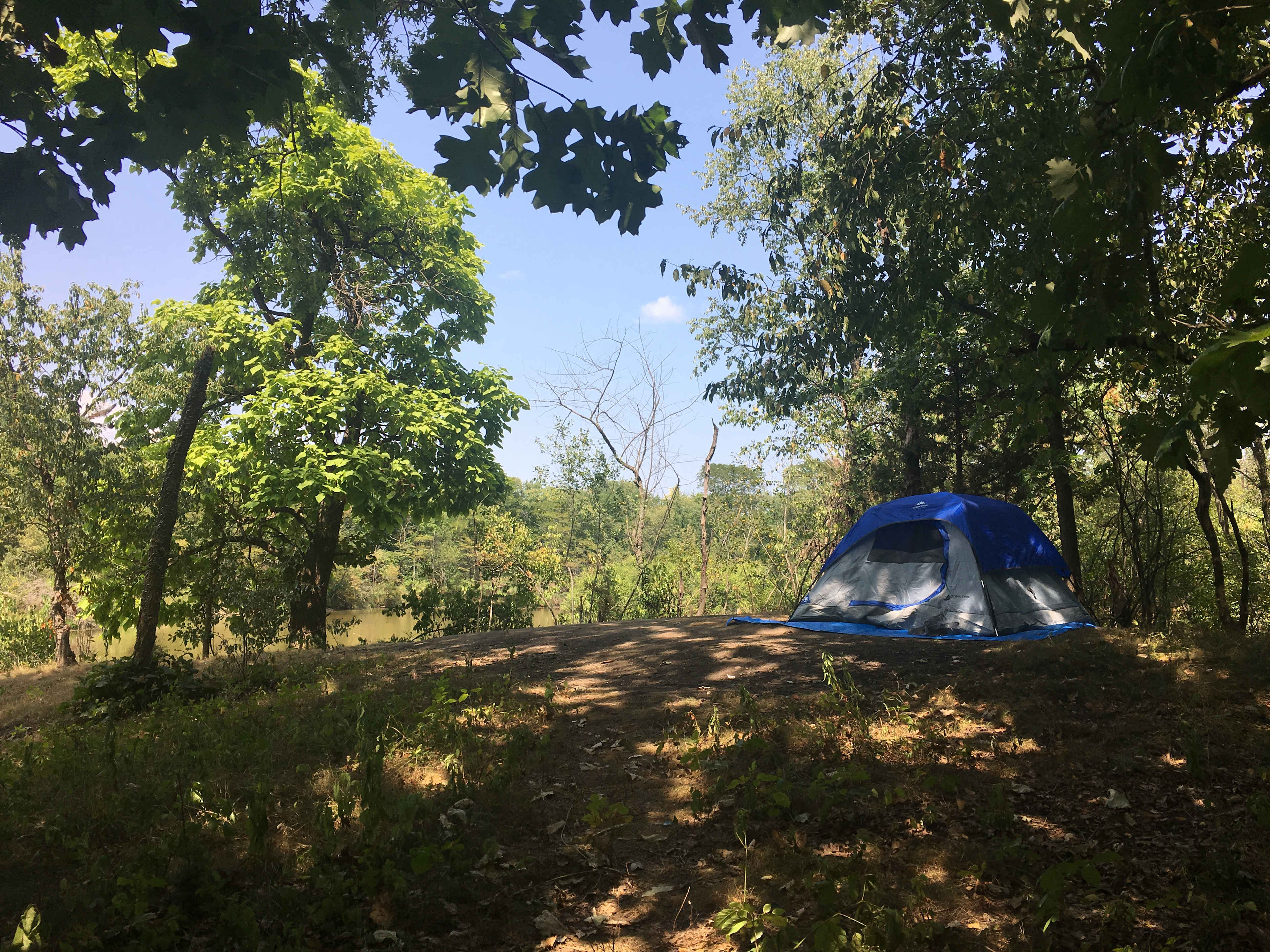 East Woods on the IL River