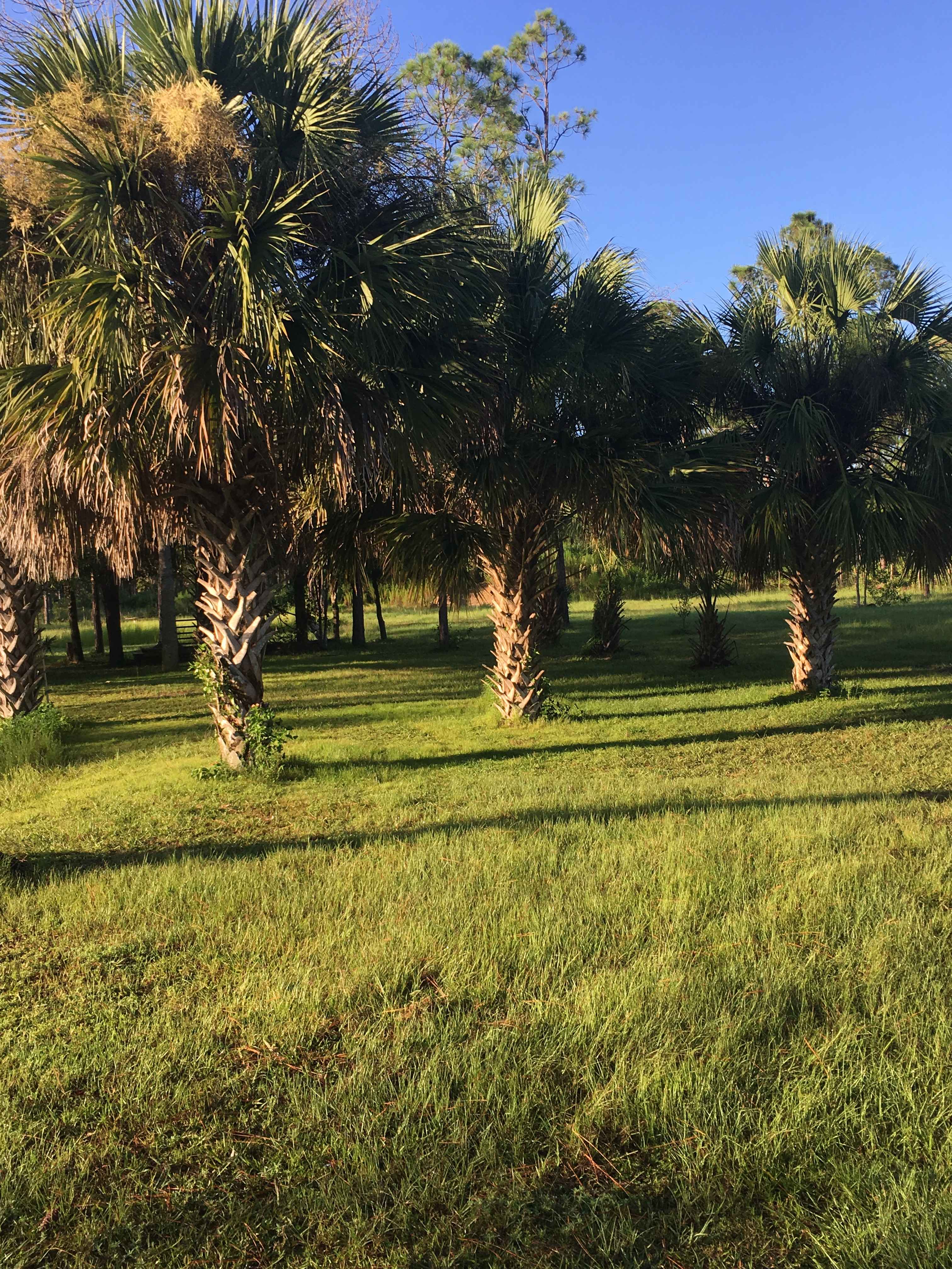 Paradise Ranch