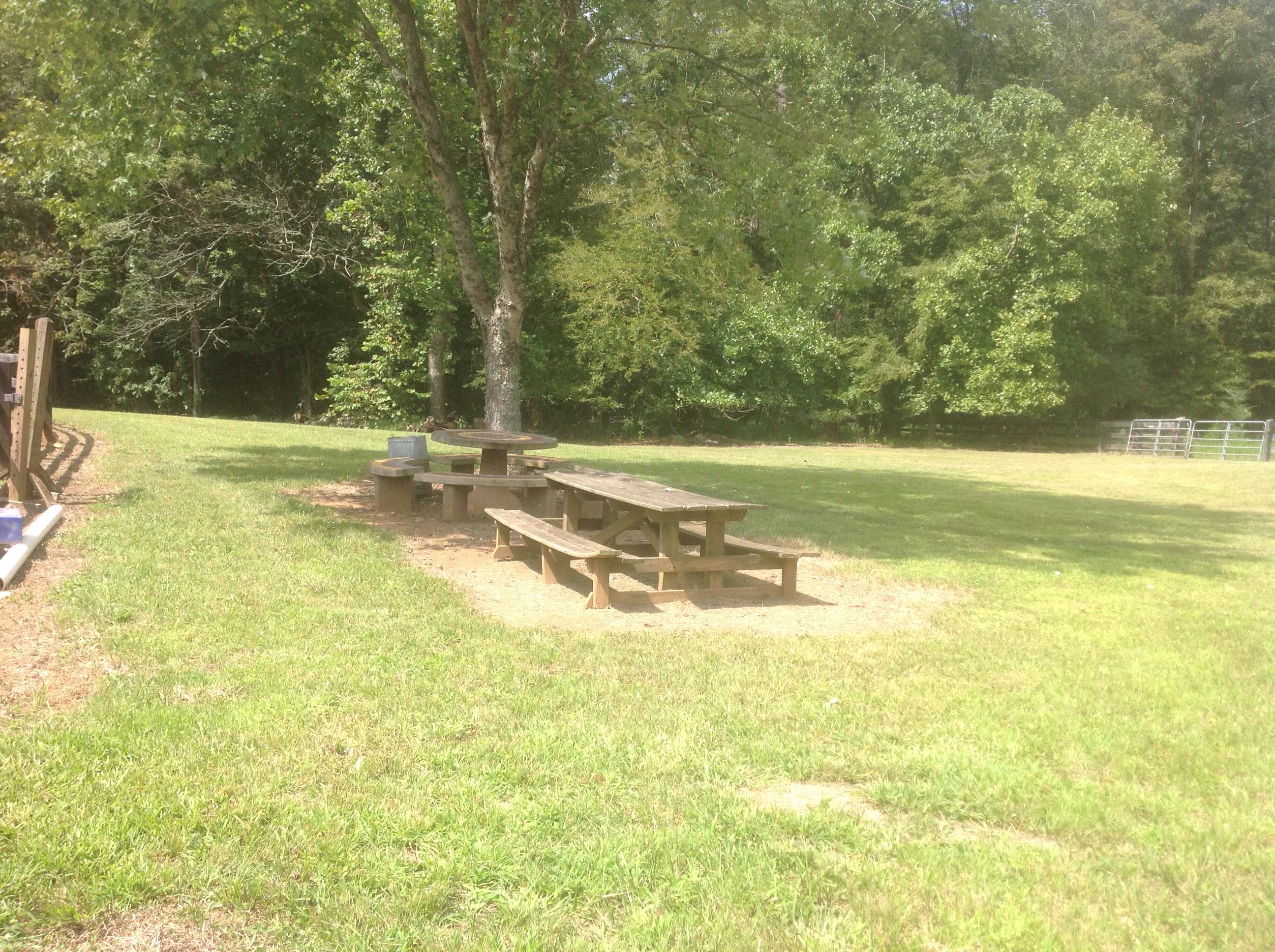 Camp near riding ring in hollow