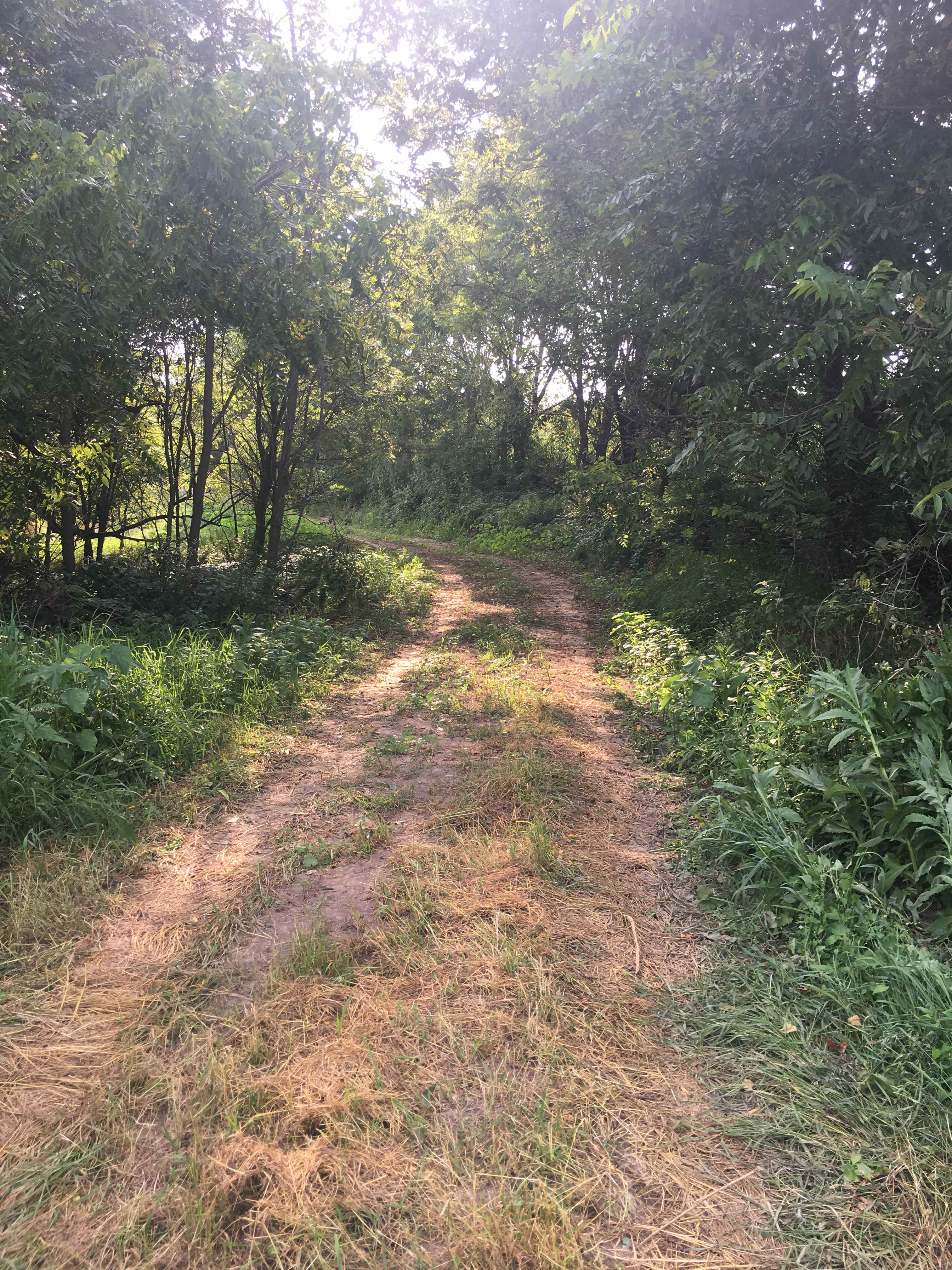 Secluded spot all to yourself 1 mile off the road. 4x4 when conditions allow or hike ATV or UTV back.
