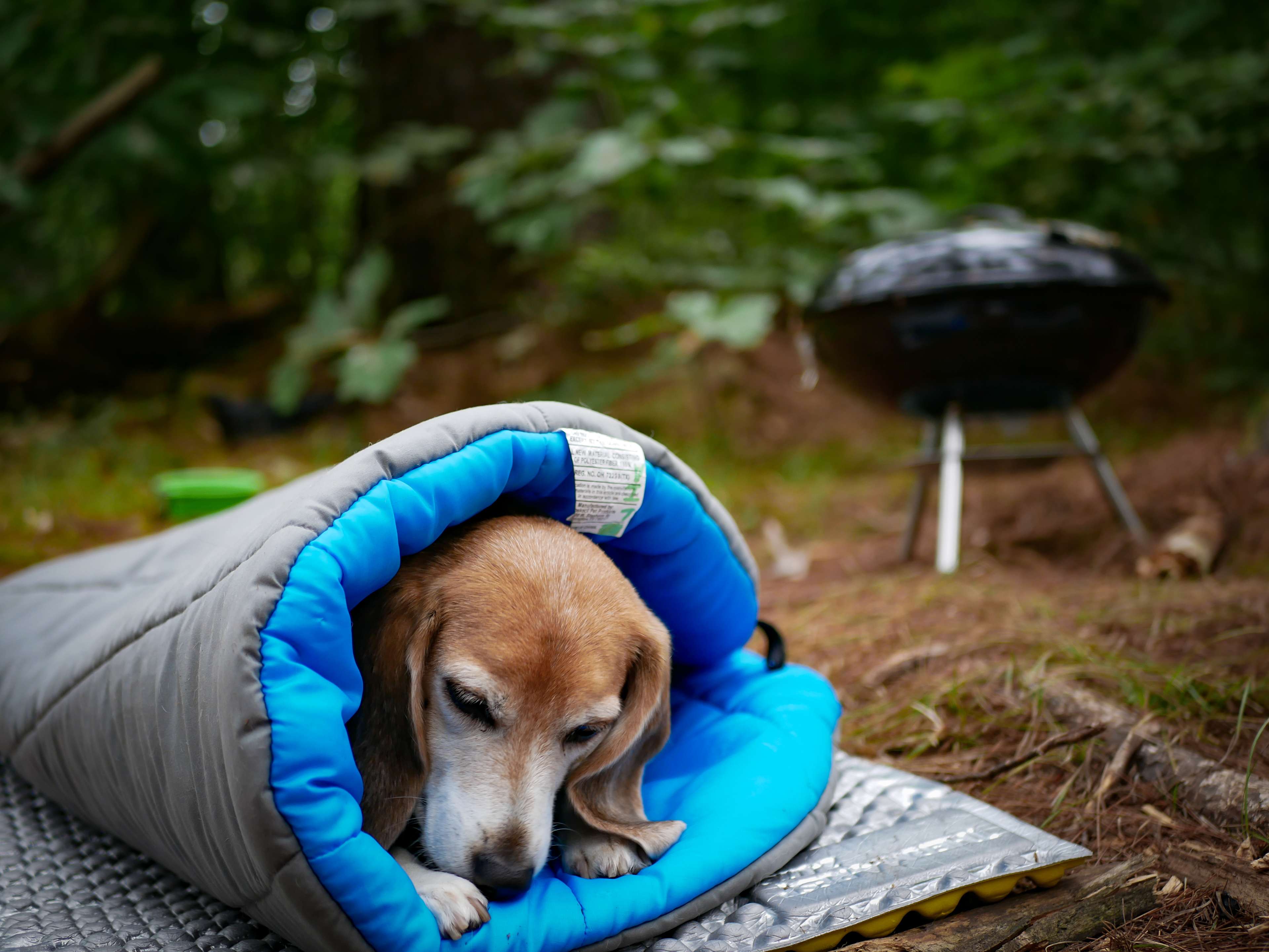 Fox Farm Campground