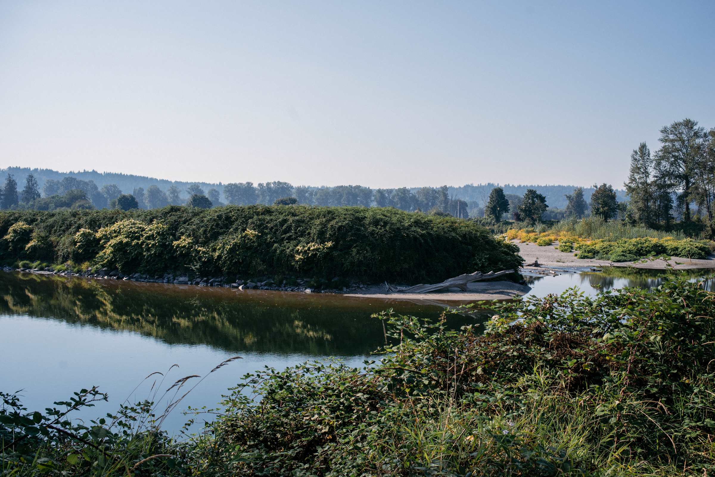 A blackberry laden river a short walk away.