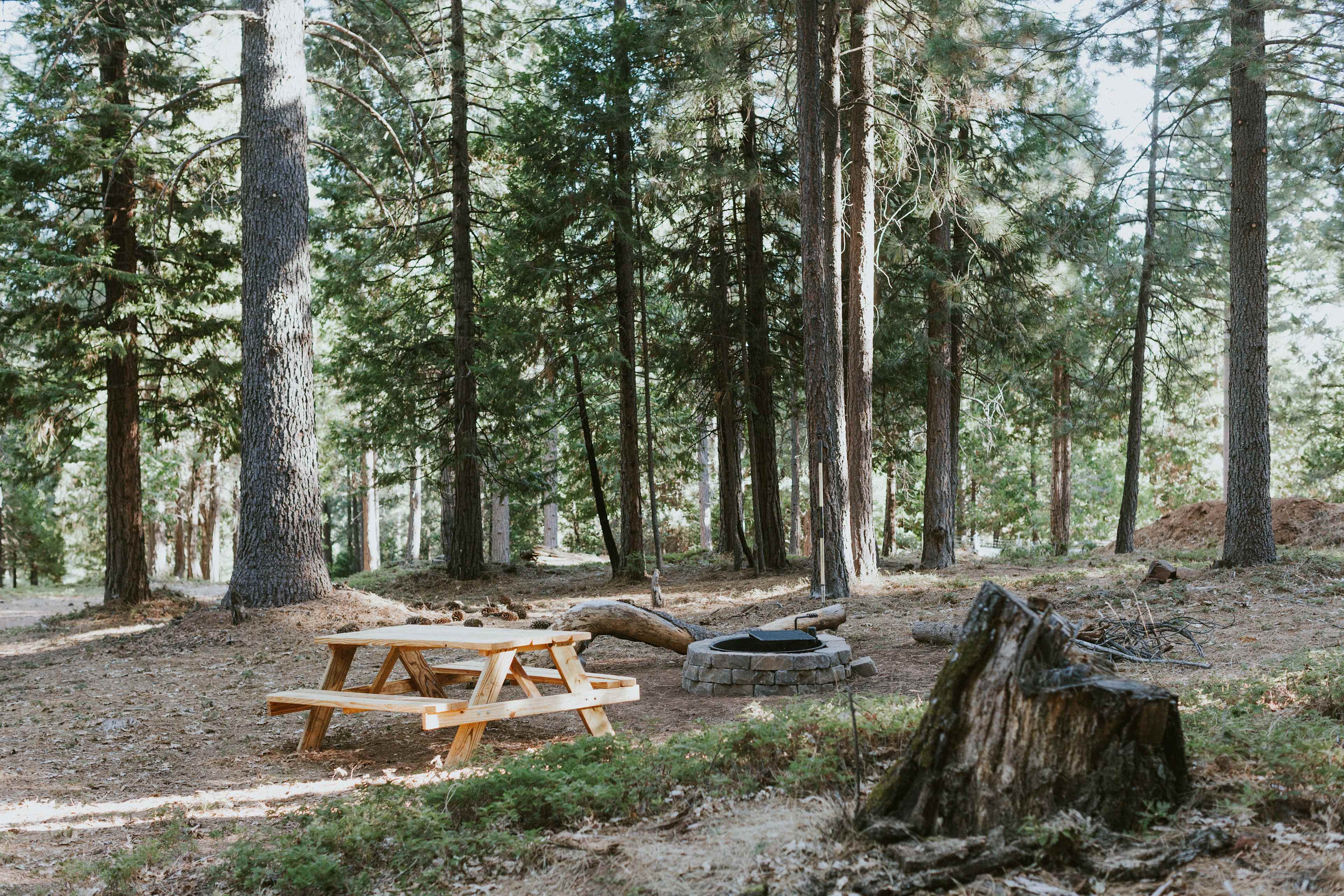 Picnic / campfire area