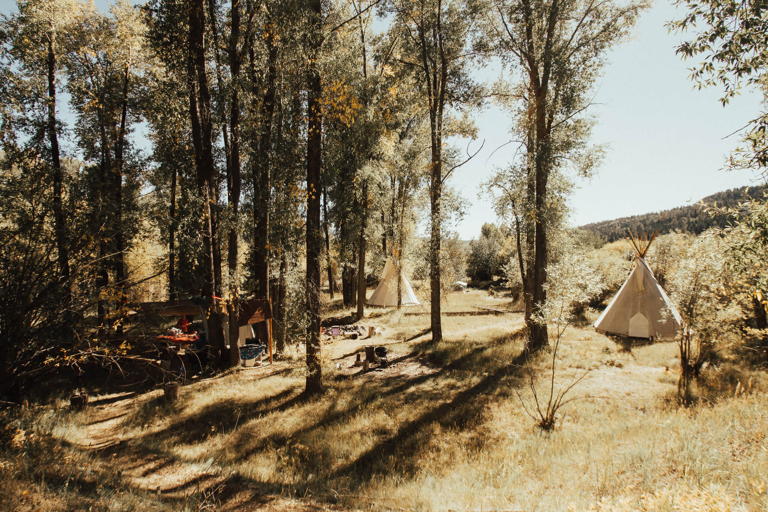 the camping area/communal kitchen is large and secluded from the rest of the property