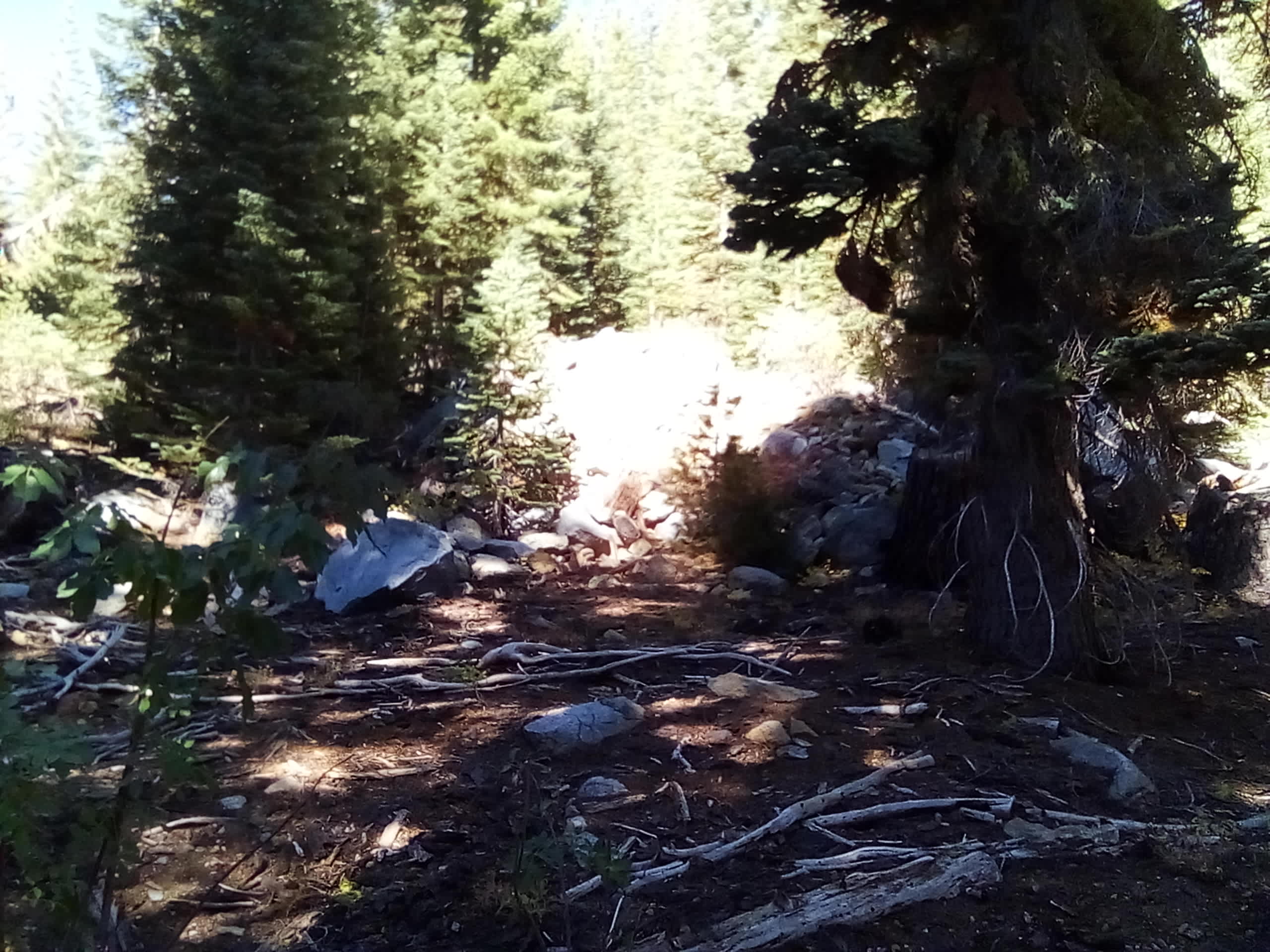 terrain example