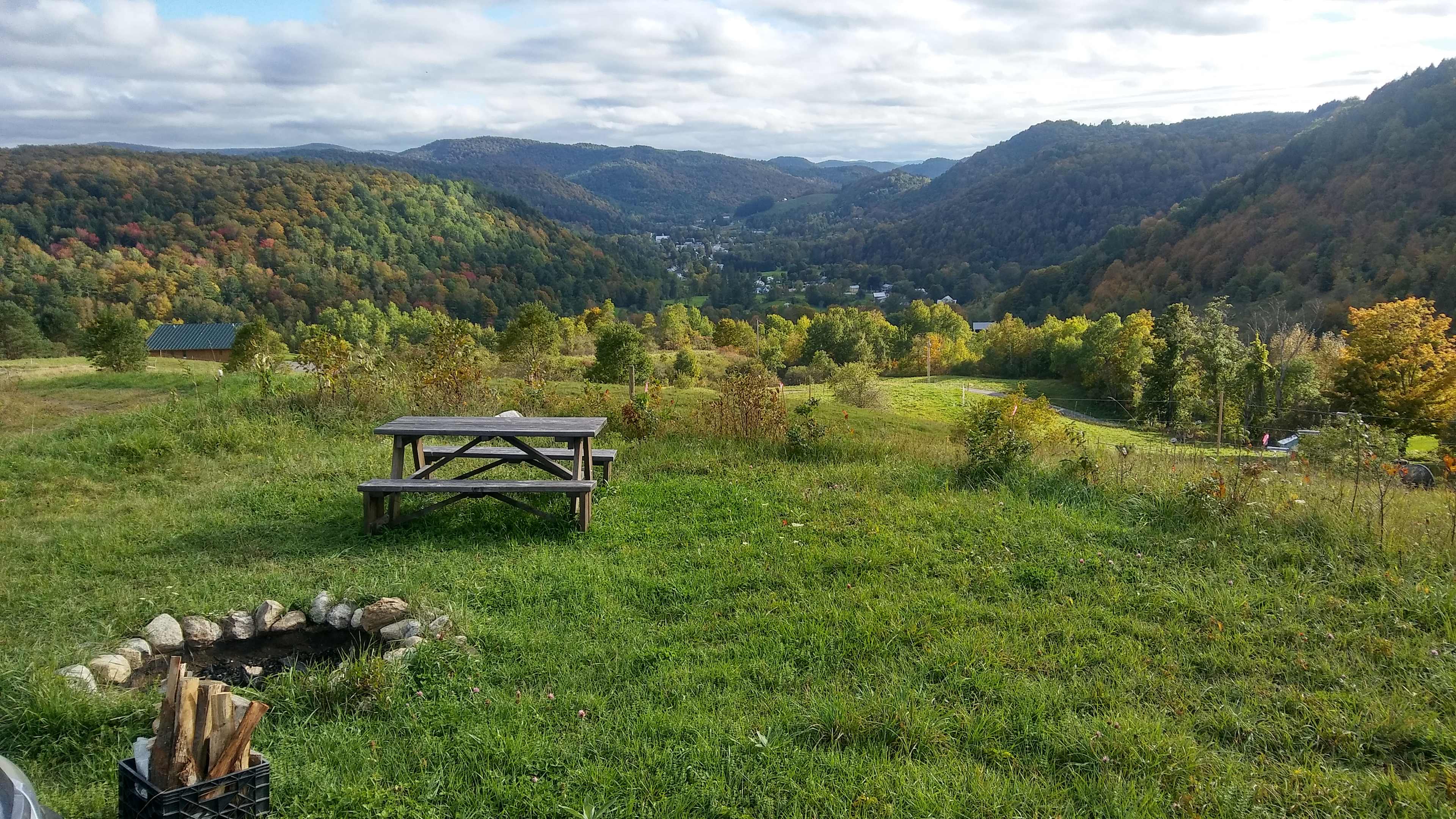 Picture of the site