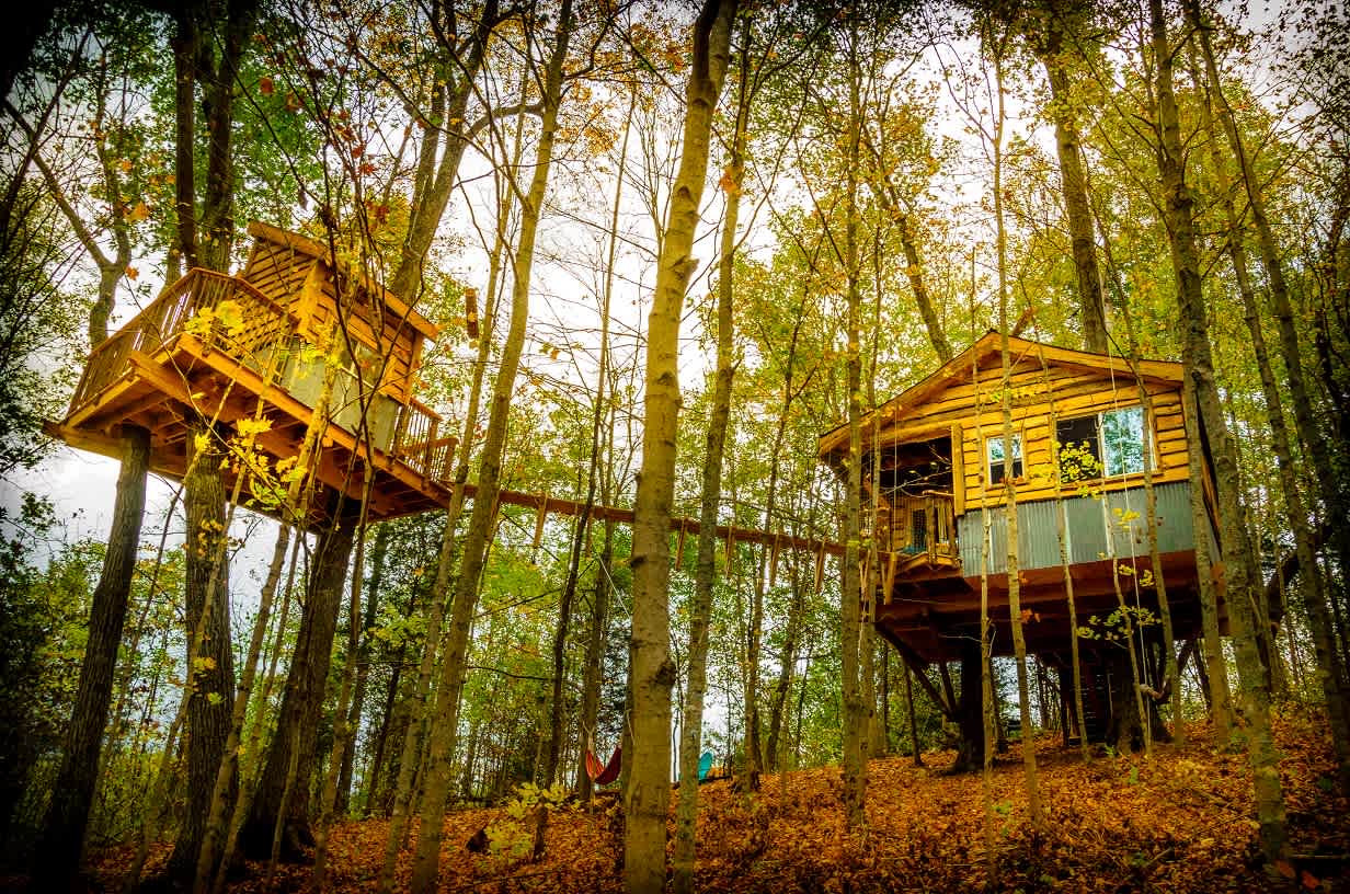 Treehouses, Off the Grid!