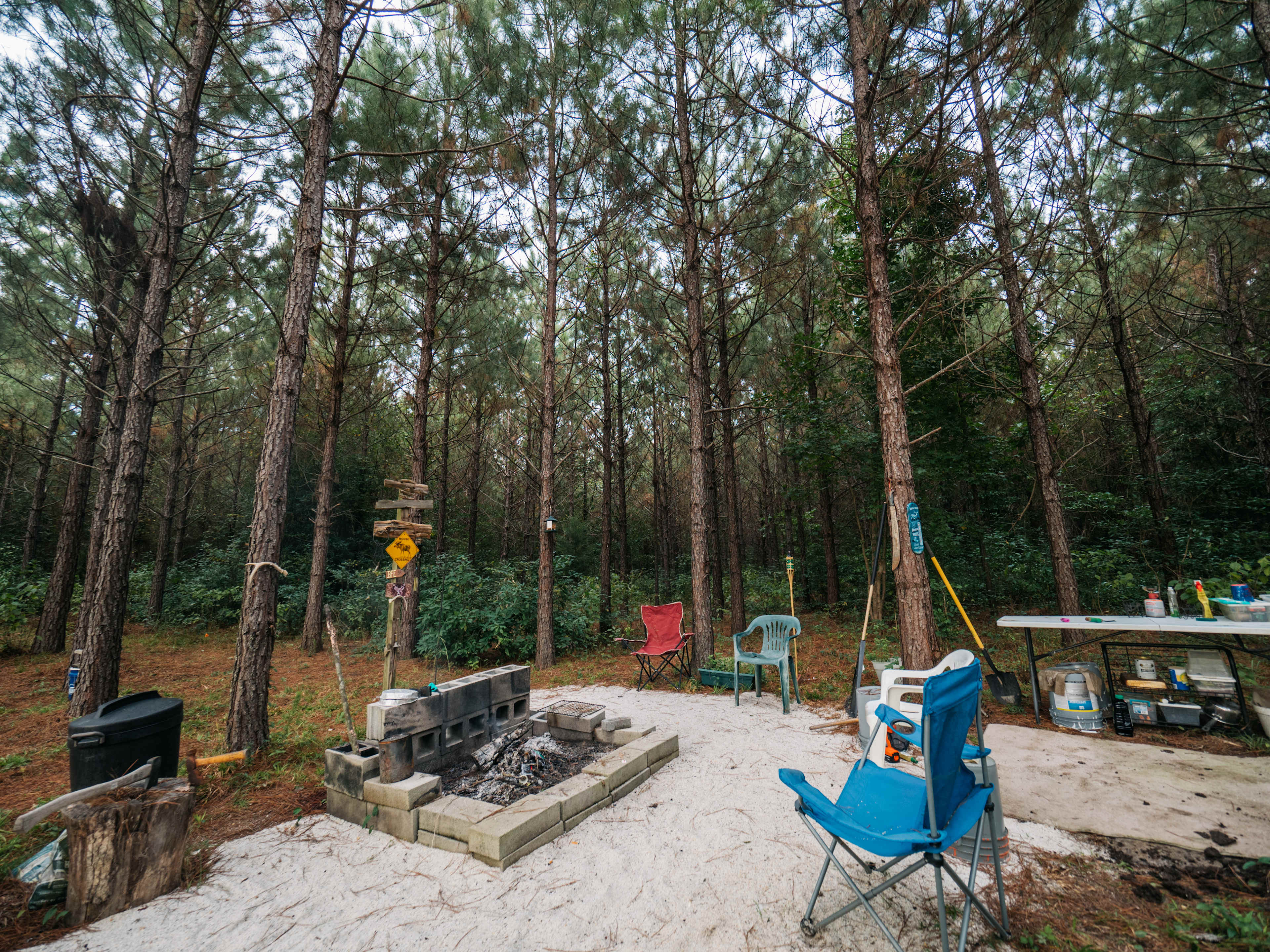 Picture of the site