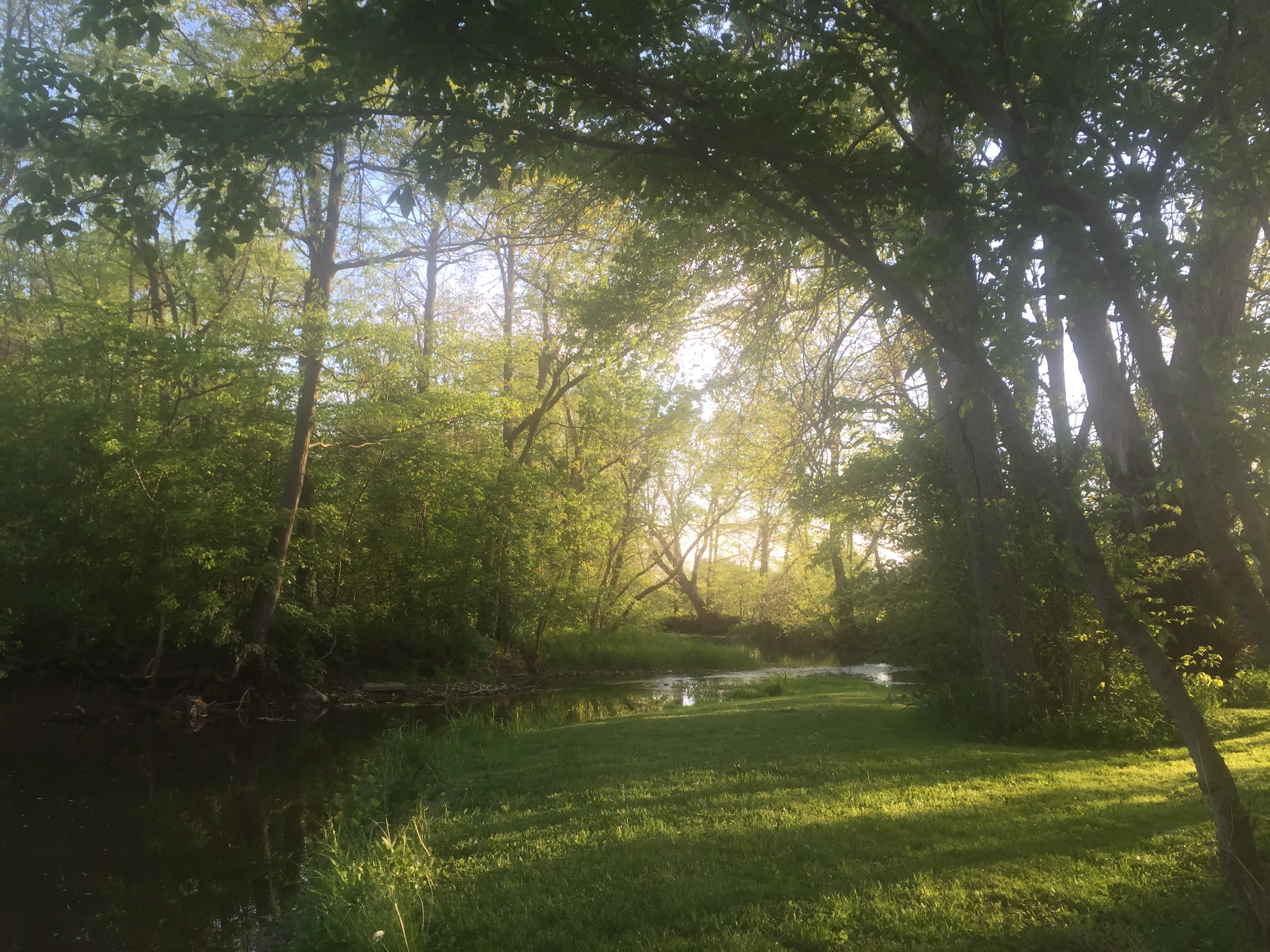 Views from around the property