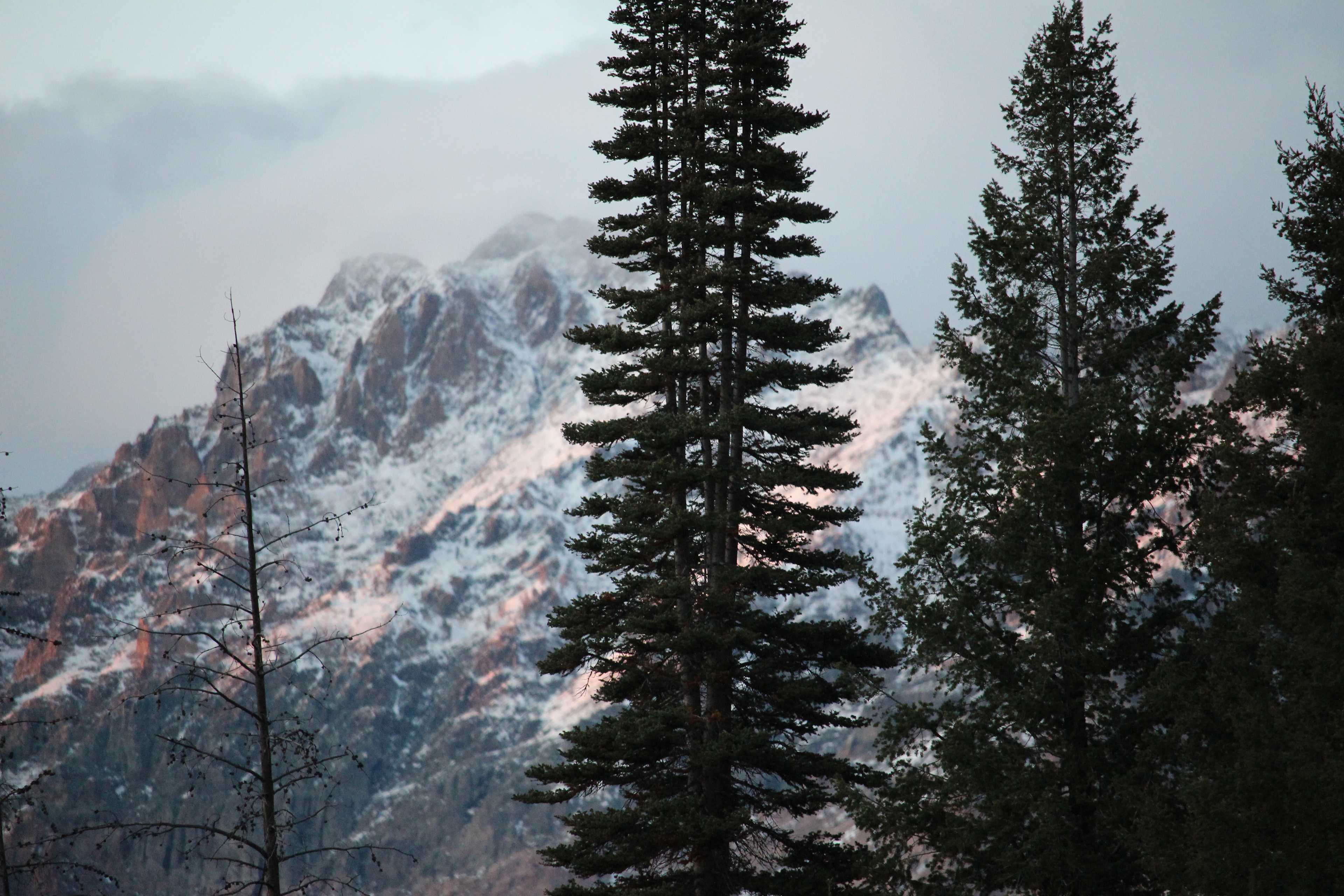 Stunning views of the Sawtooth Mountains!