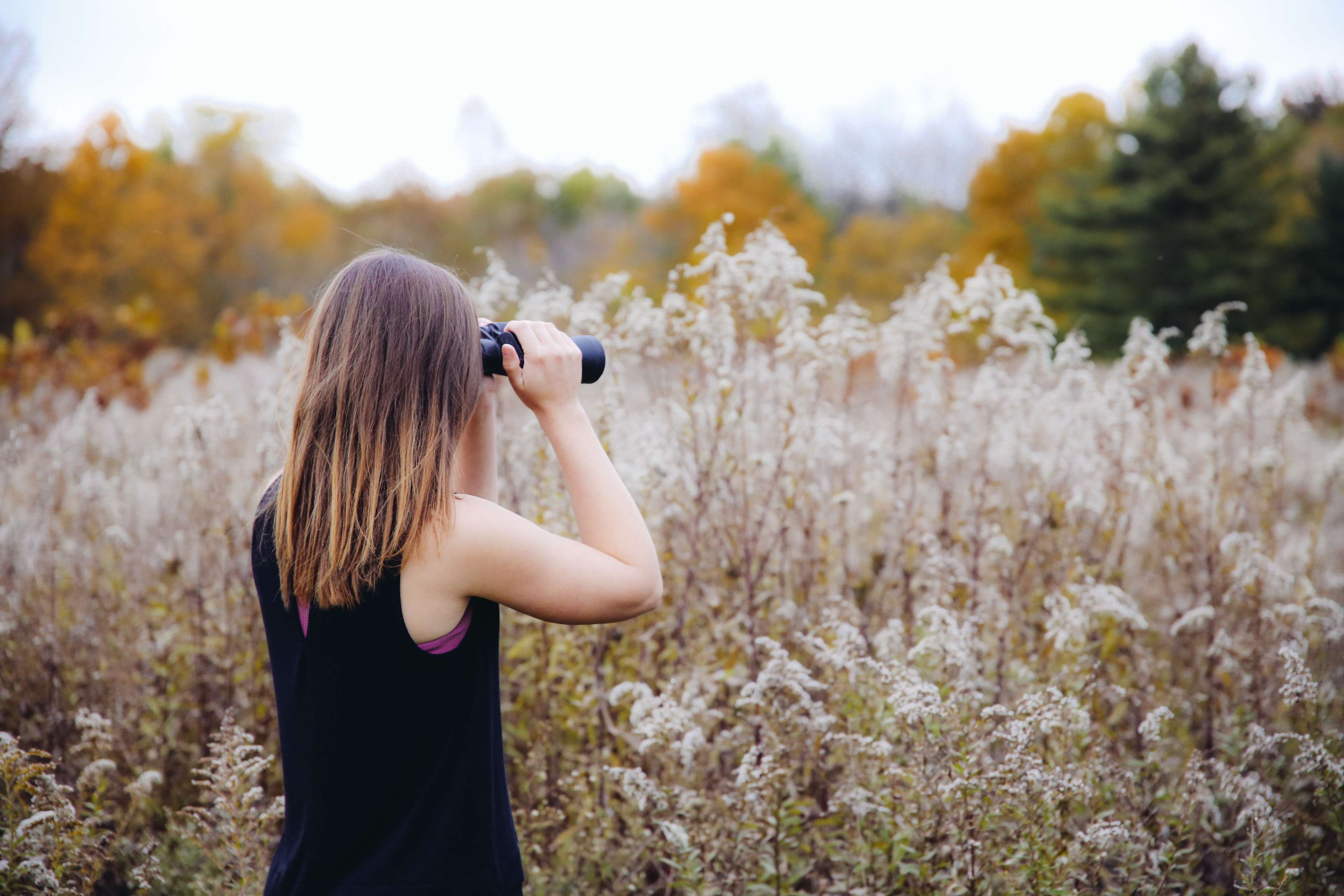Birdwatching. 