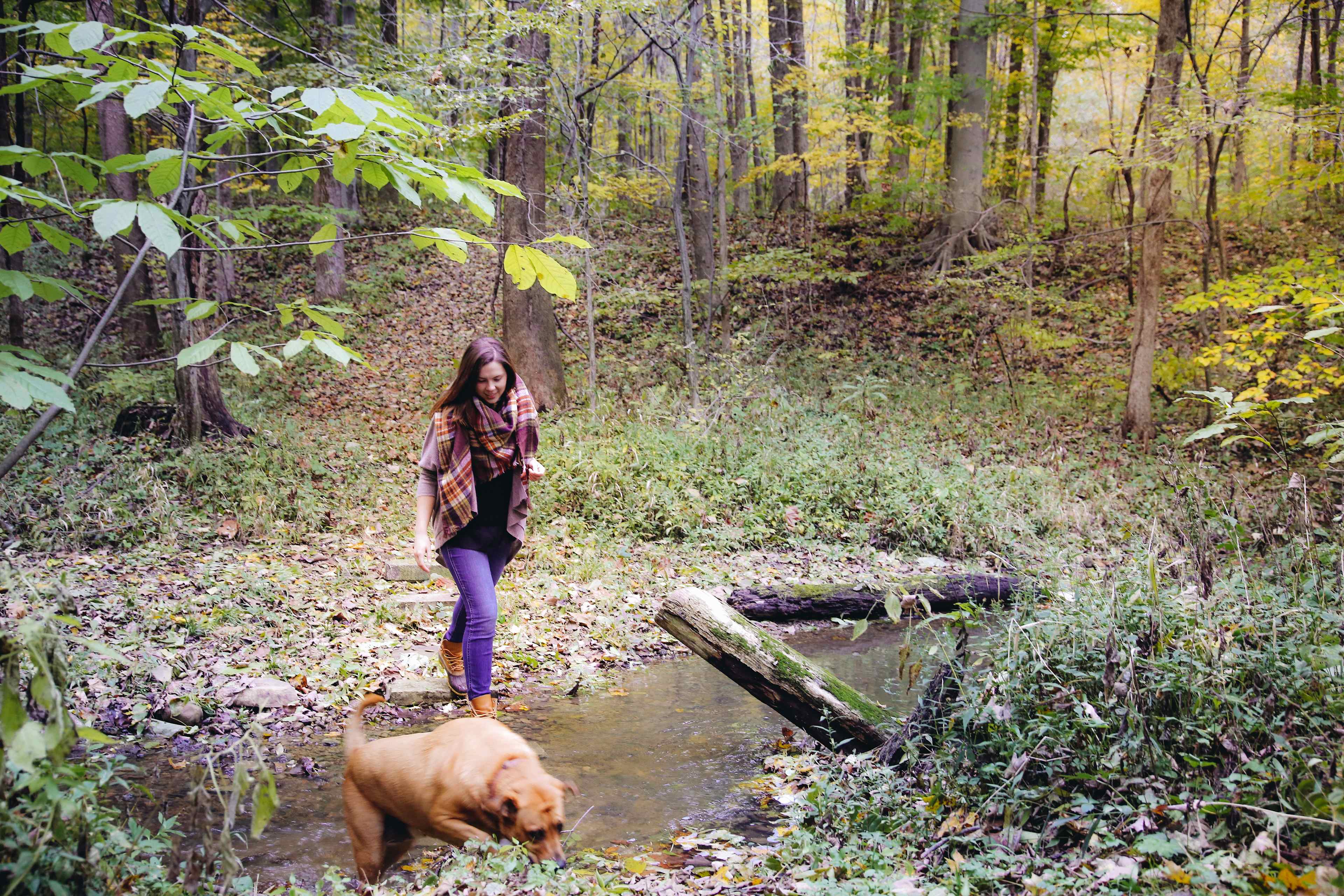 Grins & Pickin's CampFarm