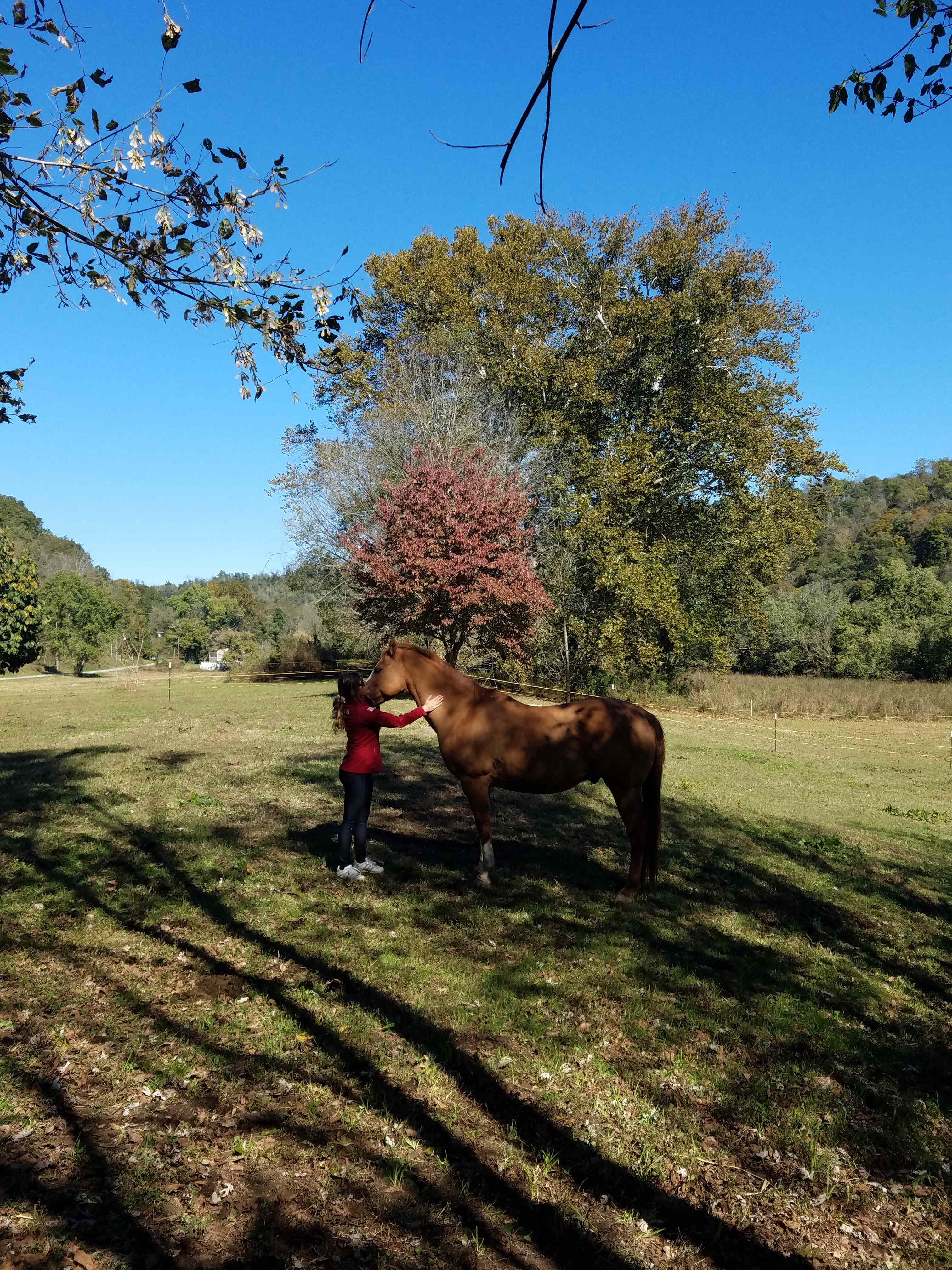 Wildcat Creek Farm in Tyrone