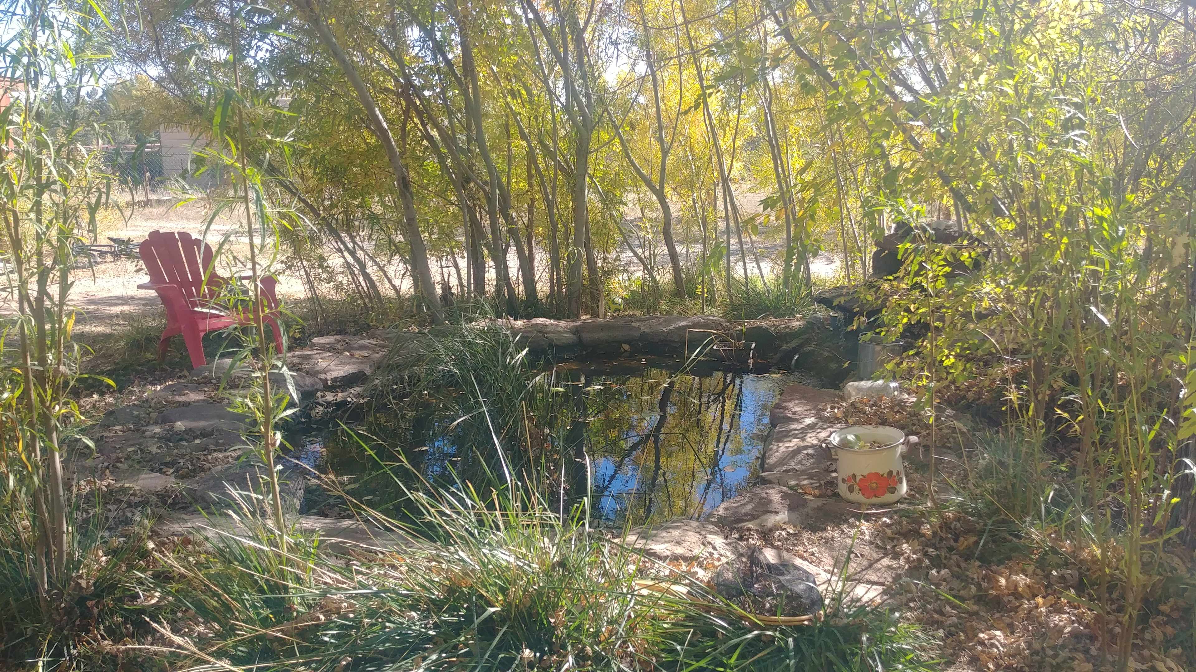 Picture of the site