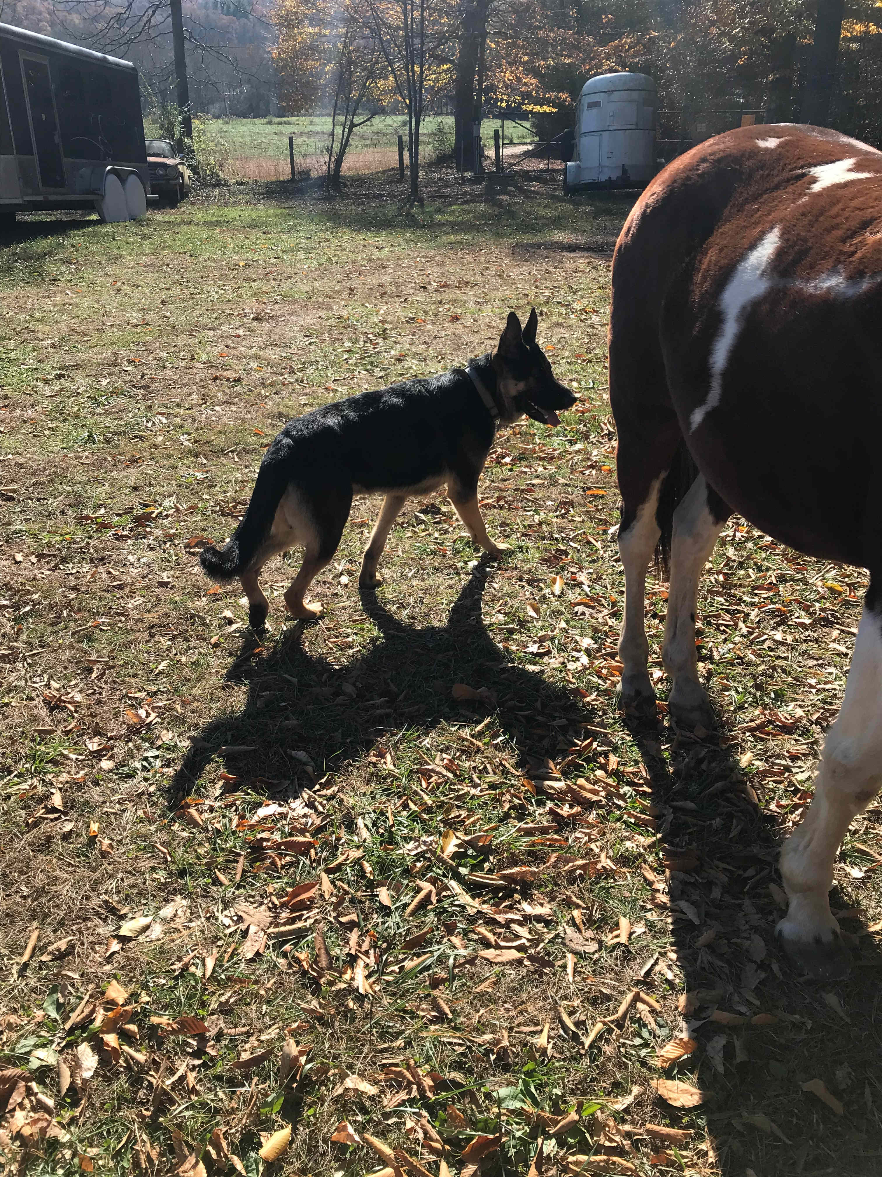 Back Rhodes Ranch