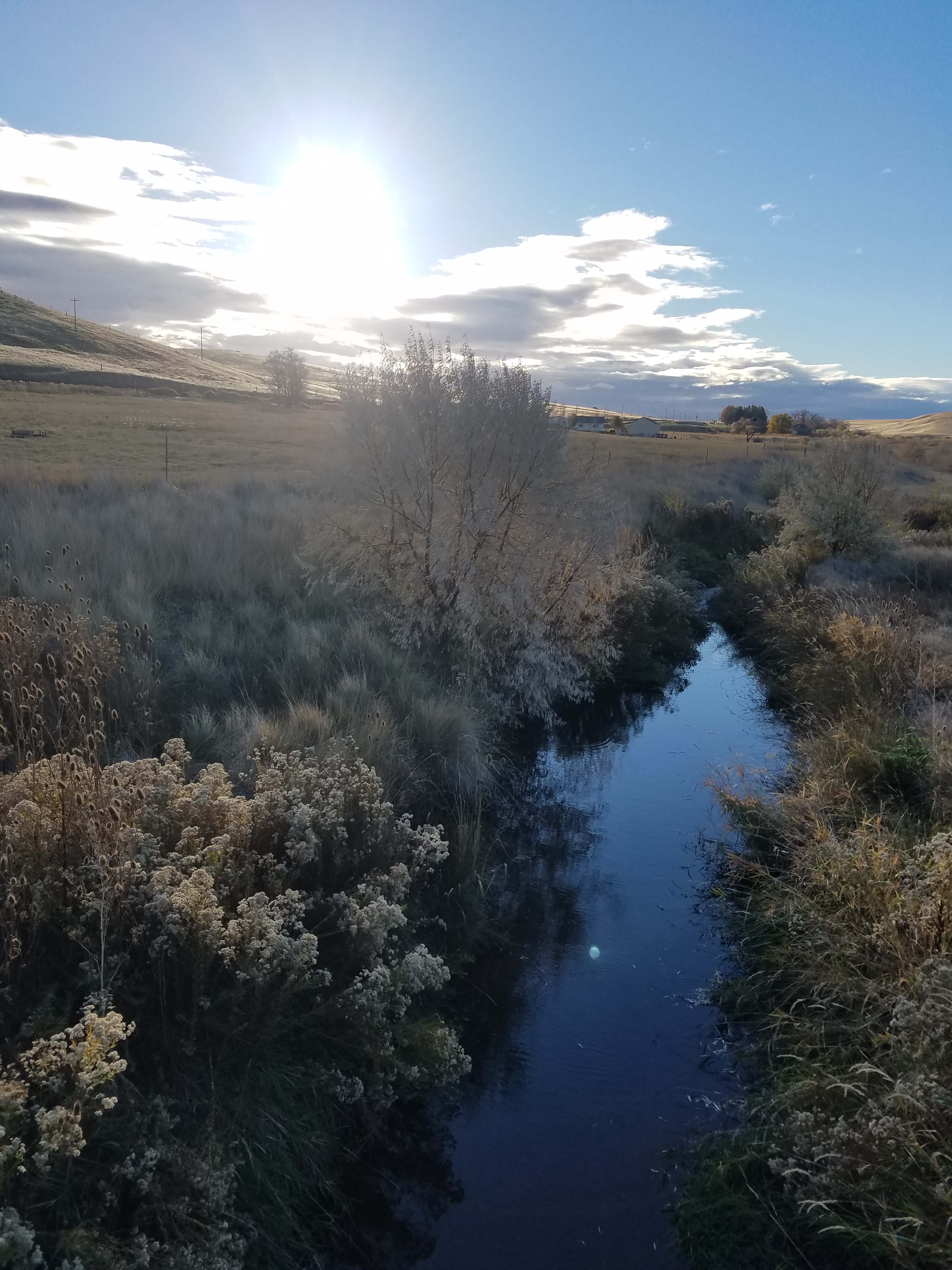 This is Willow Creek,  it flows through the ranch and under the bridge as you drive in.  You can fish or just enjoy the quiet.