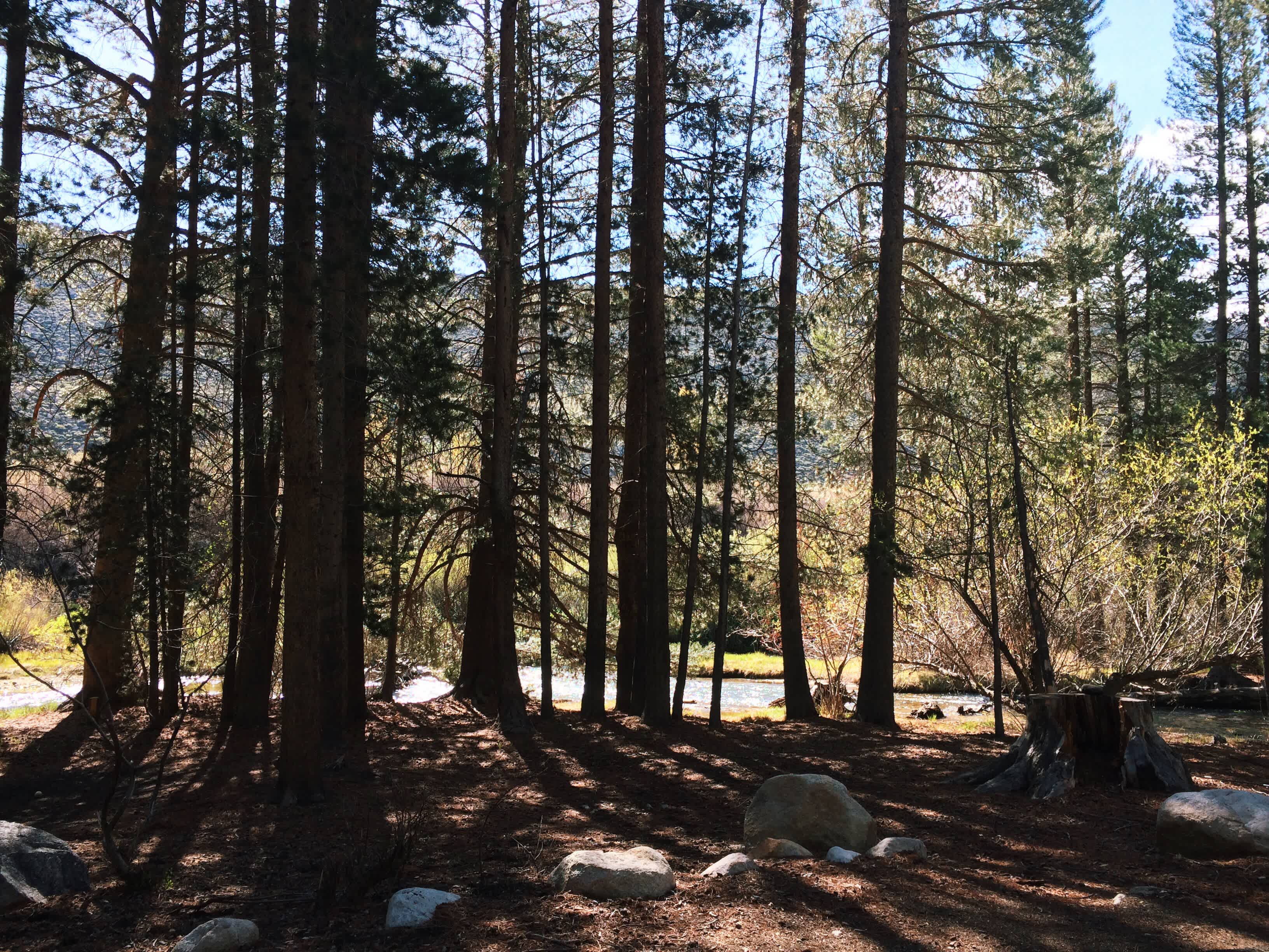 Robinson Creek North Campground
