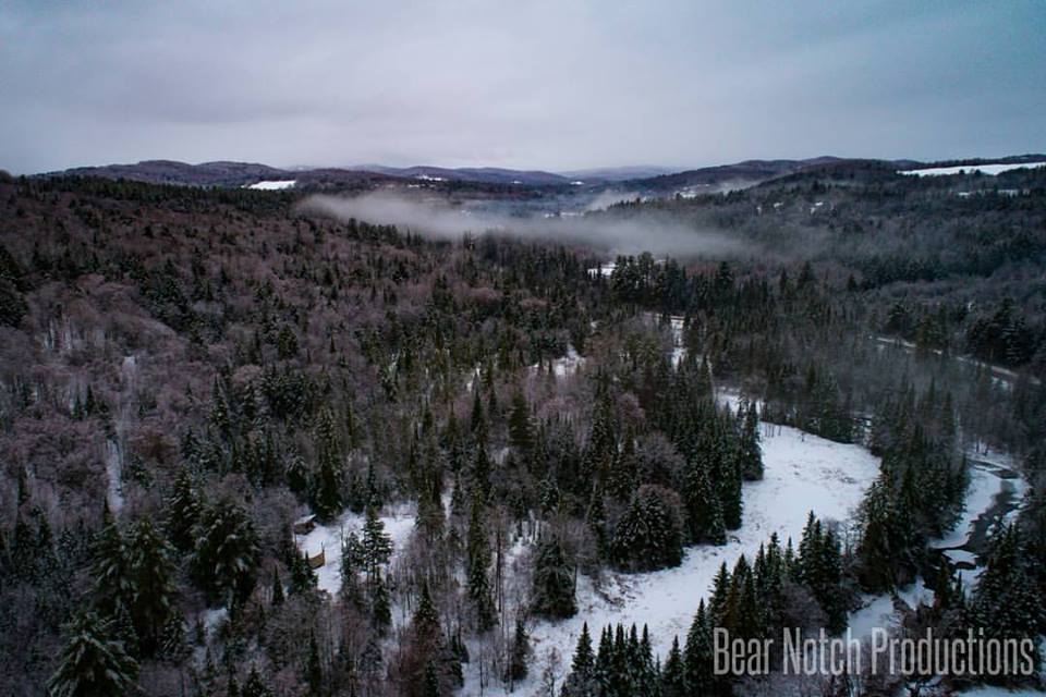 Field and Forest