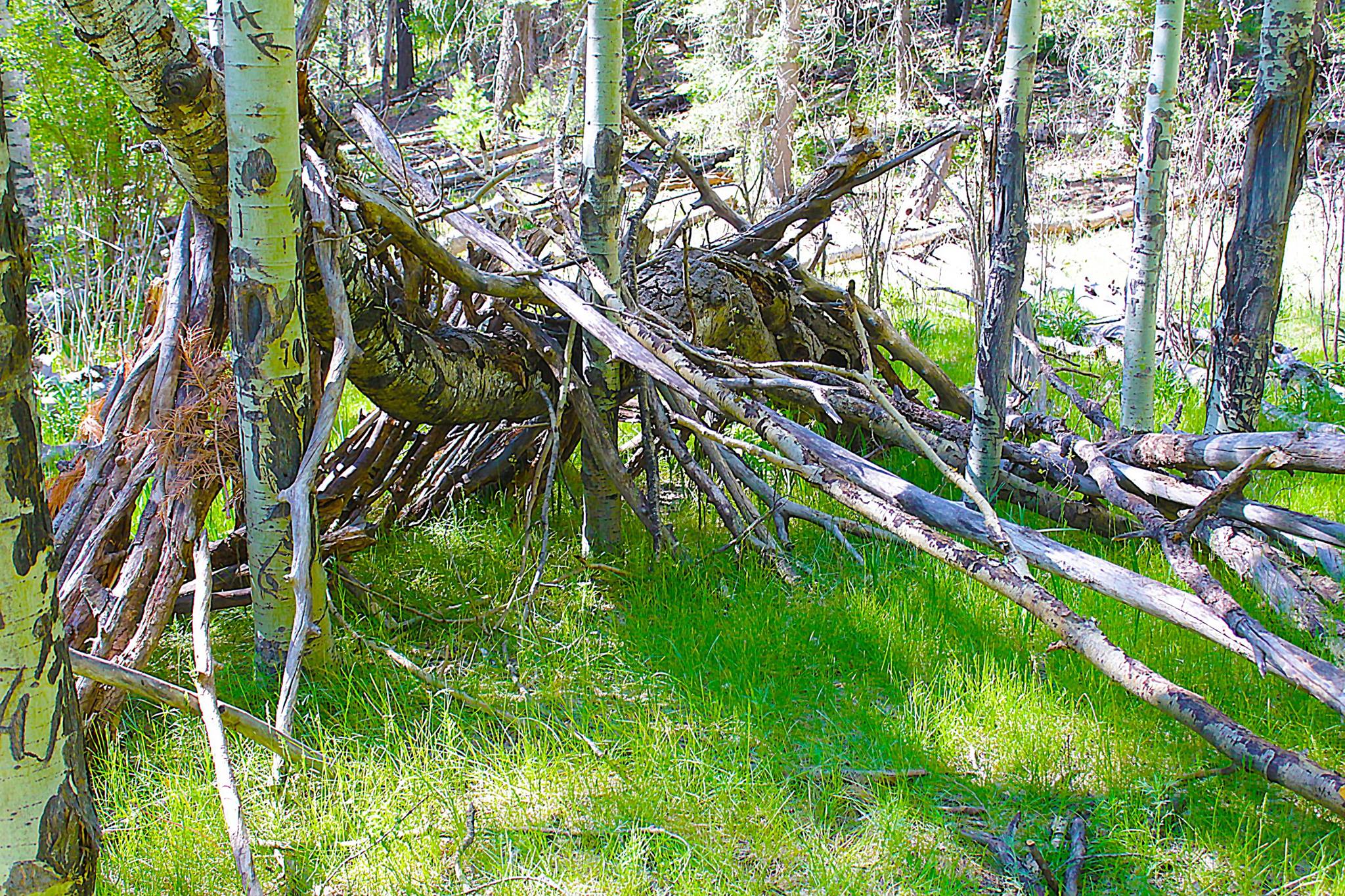 Deerhead Campground