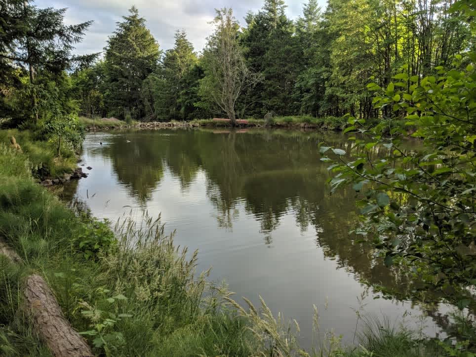 Another one the main pond. It is spring fed which is also piped throughout the property 