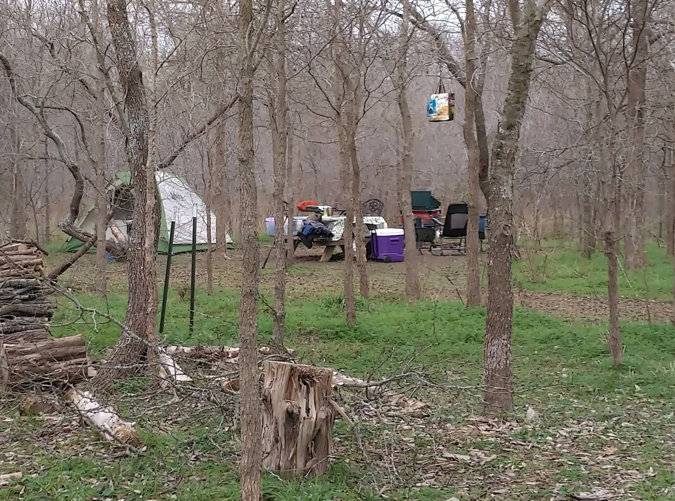 Picture of the site