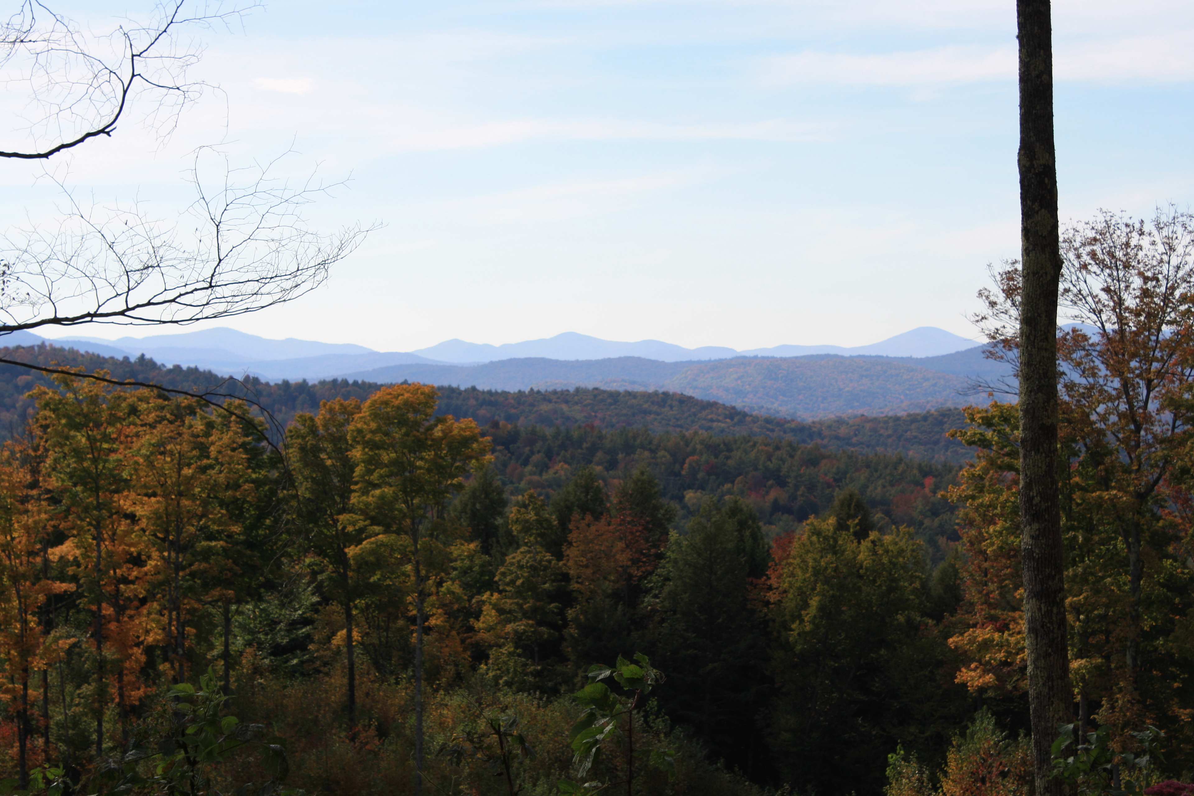 Sugar Wood Meadow Camping