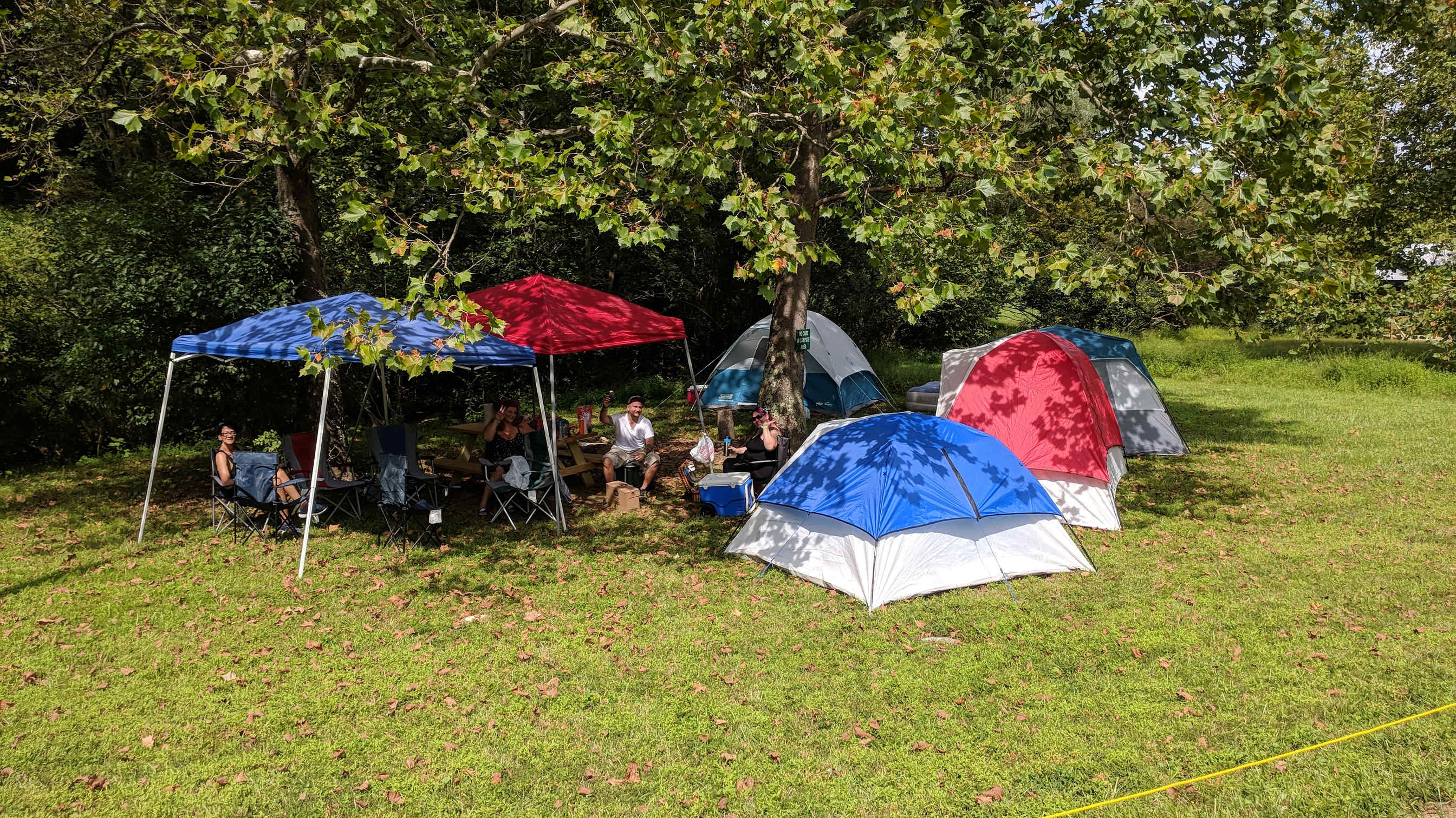 Picture of the site