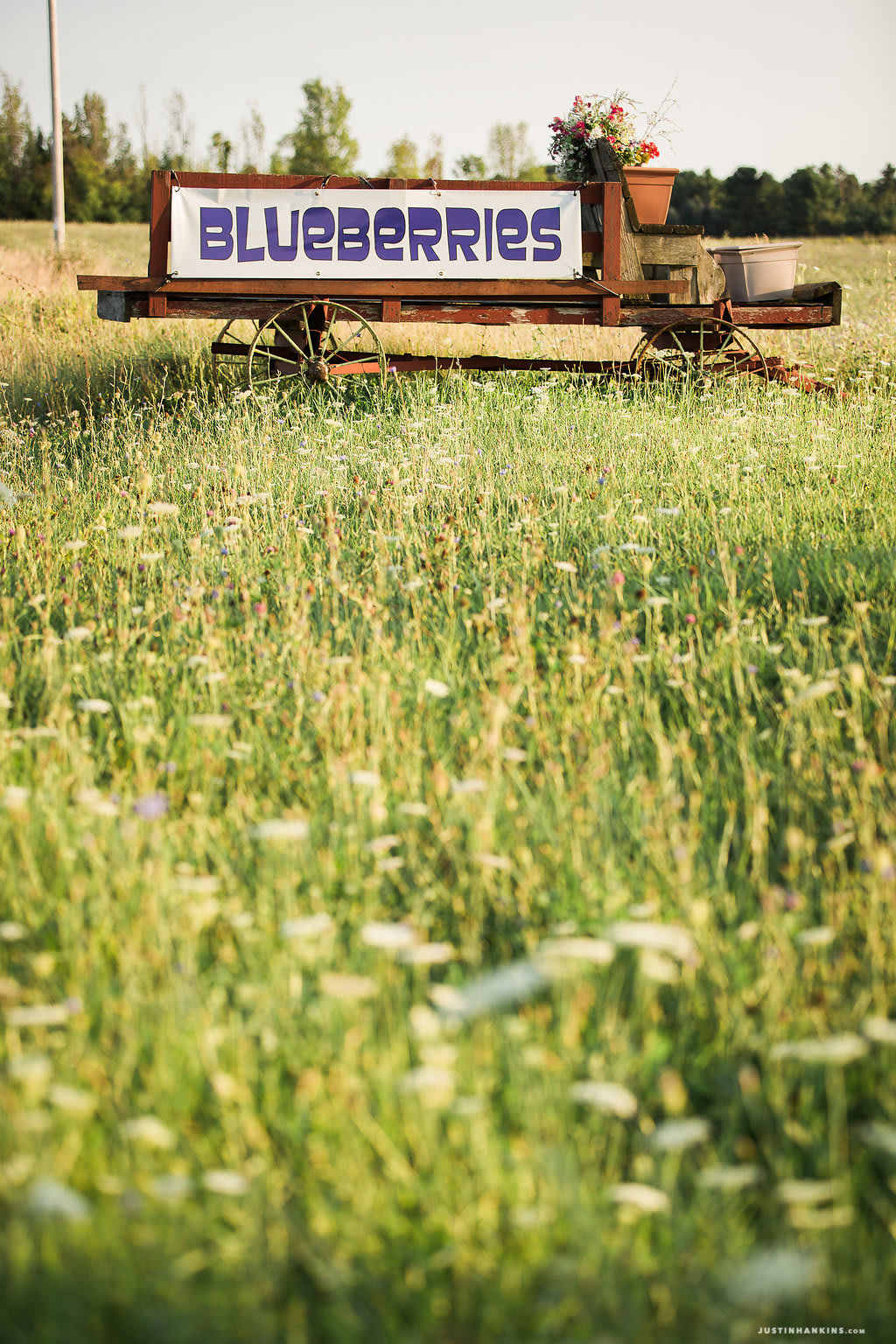 Fresh fruits and produce available for campers on the farm.