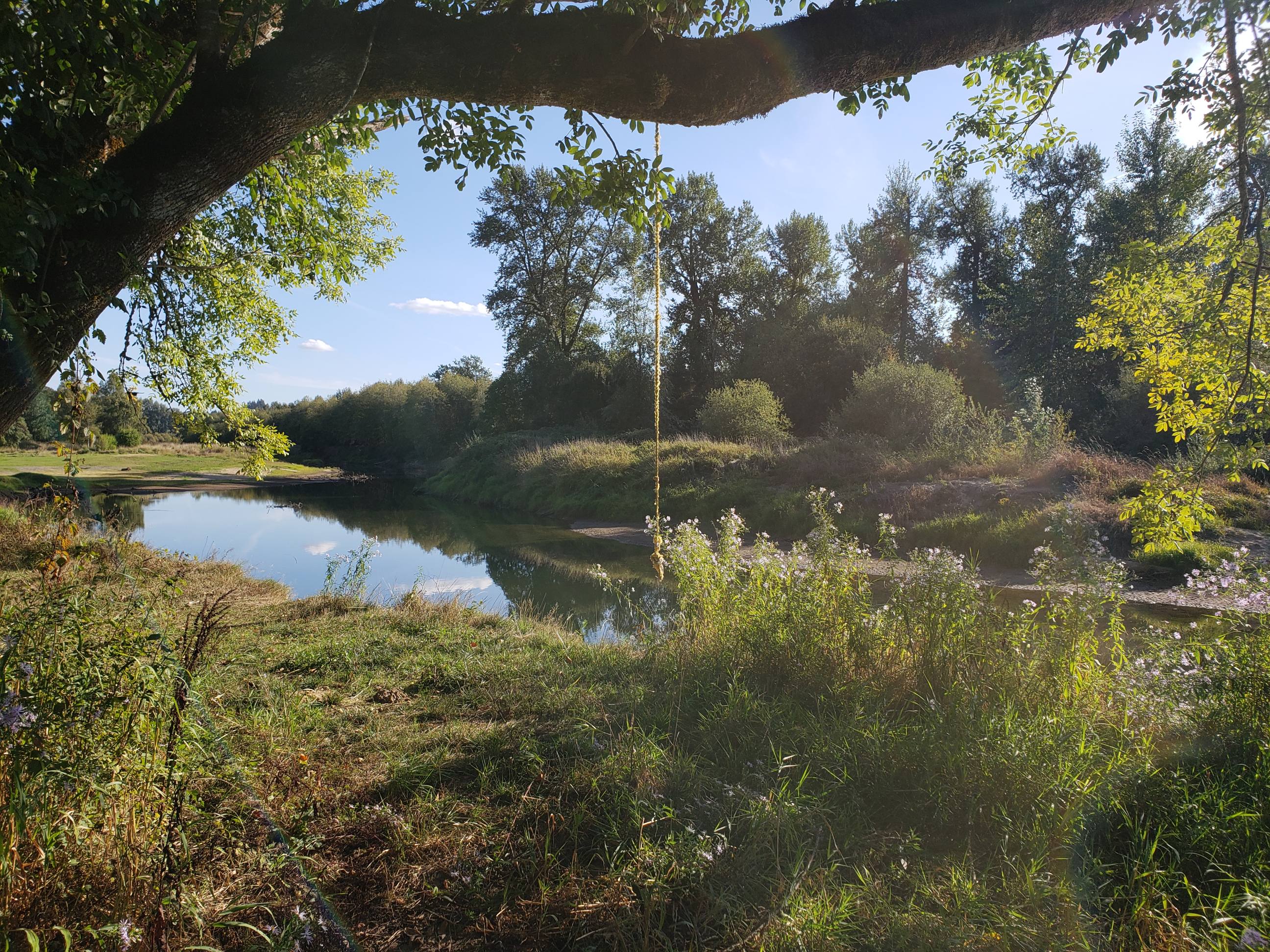 Camp beside the serene beauty of the East Fork of the Lewis River...Kayaks available to explore the quiet river and enjoy  nature.