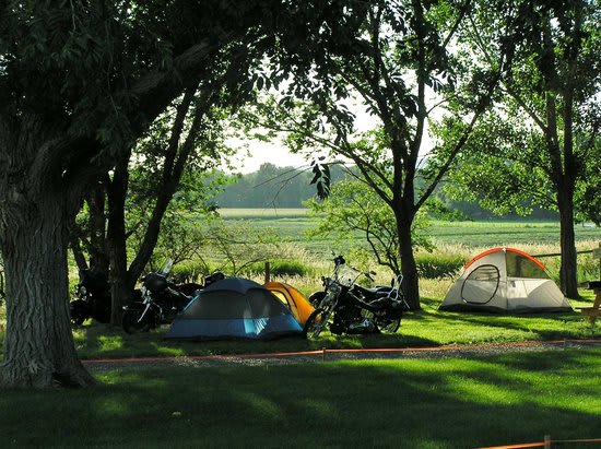Tent sites with lush green grass and shade trees.