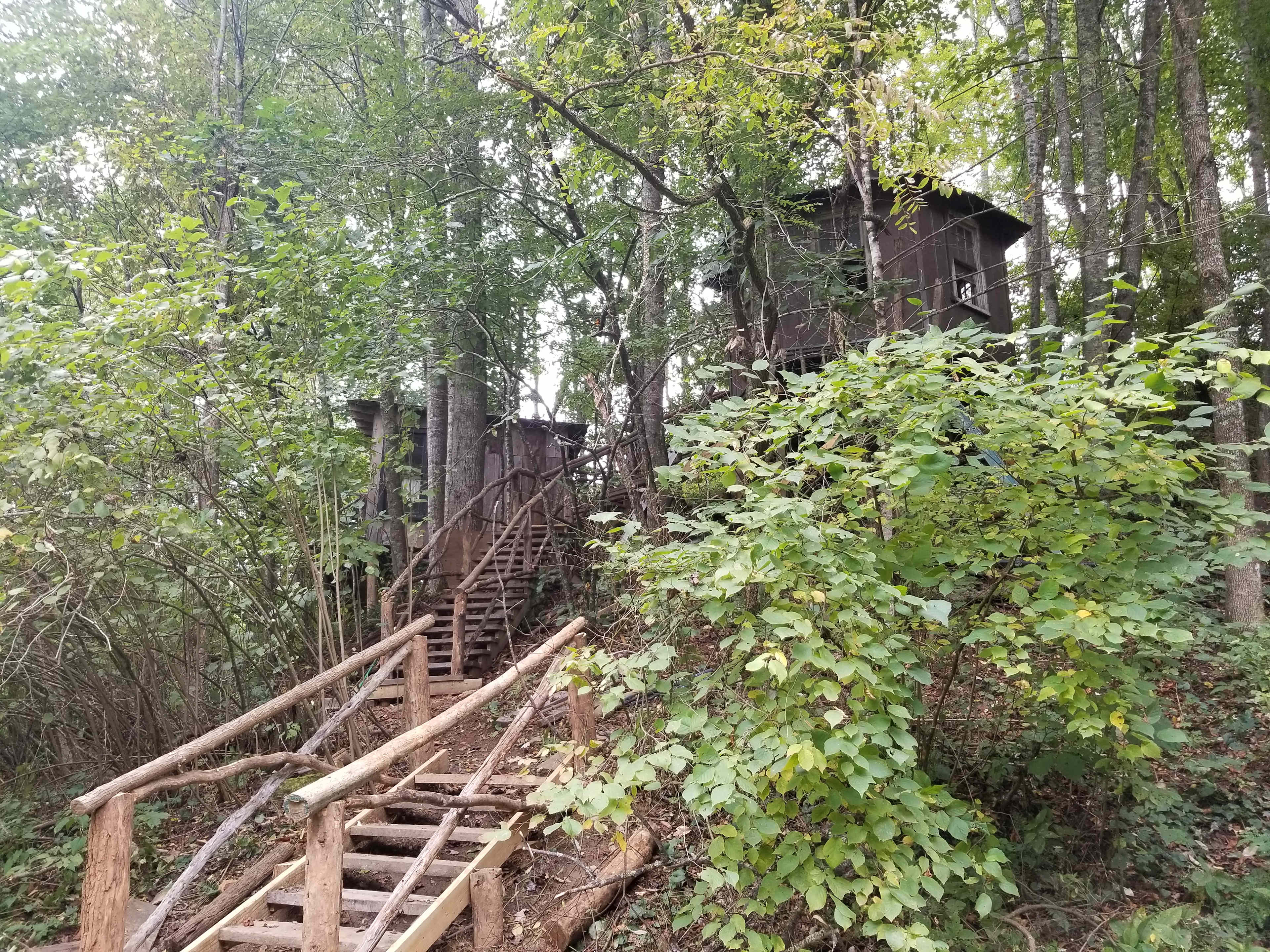 Healing Springs
