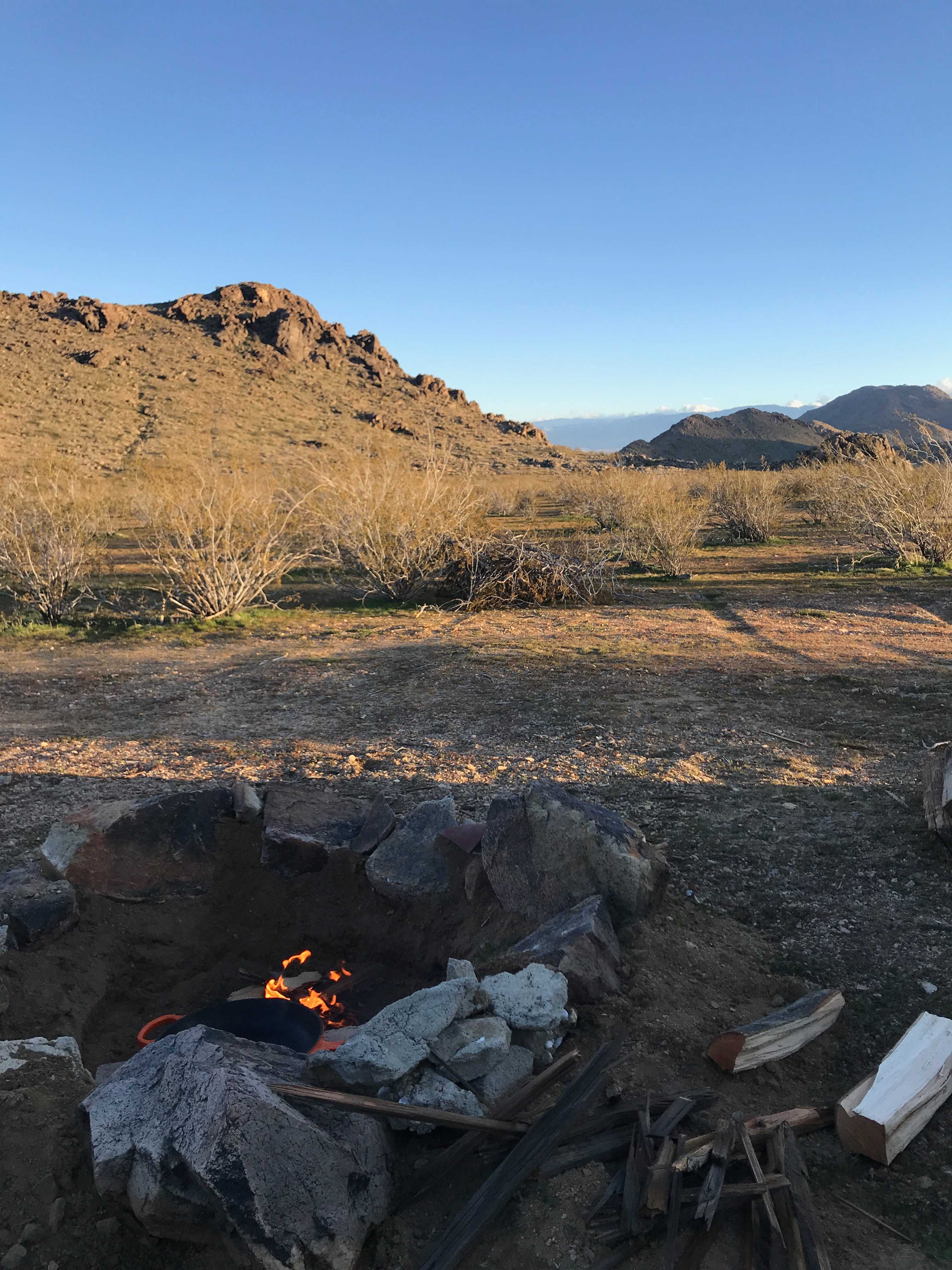 Picture of the site
