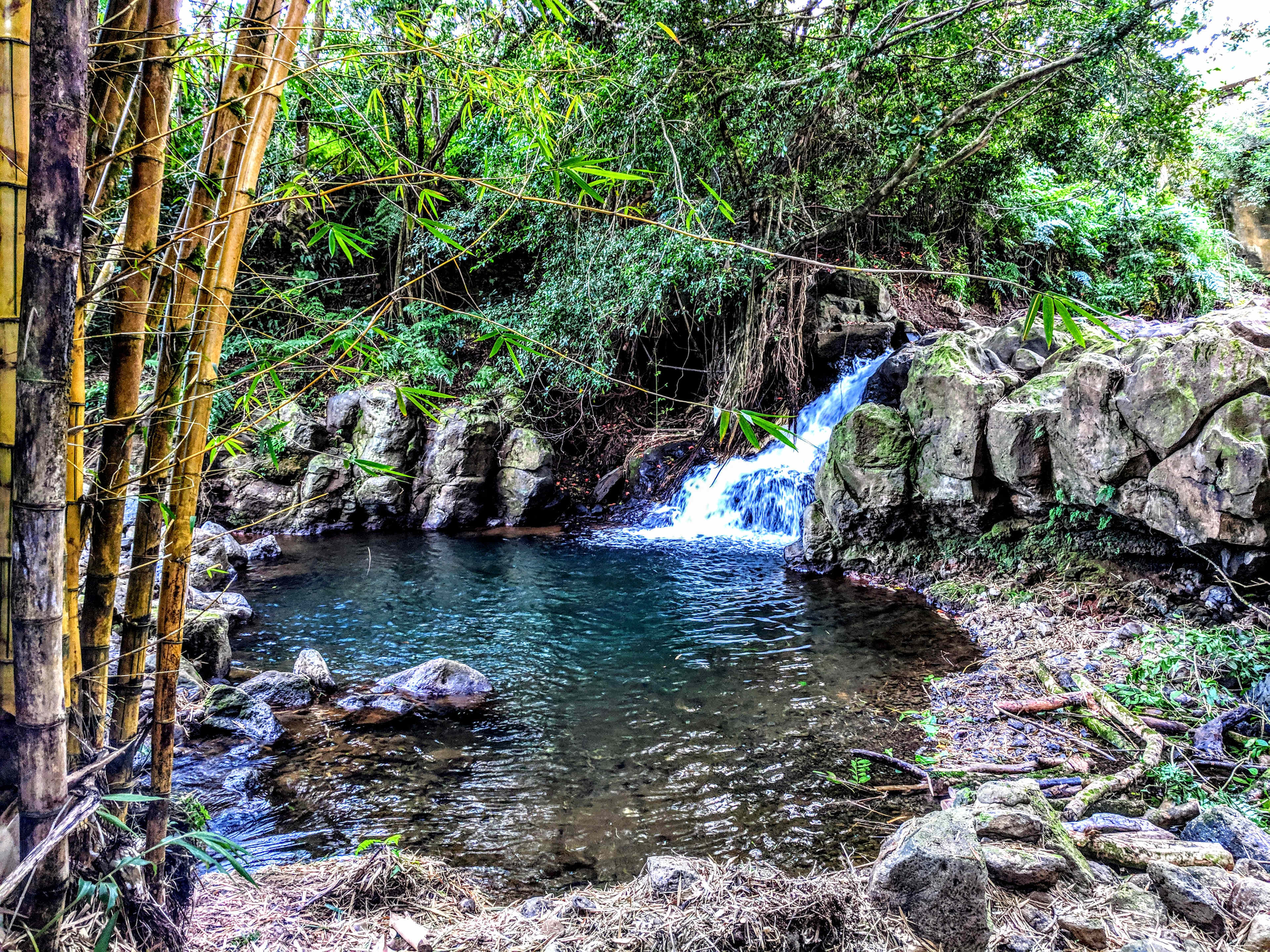 Waterfall swimming area on the property.  The swimming area is shared with other rentals.