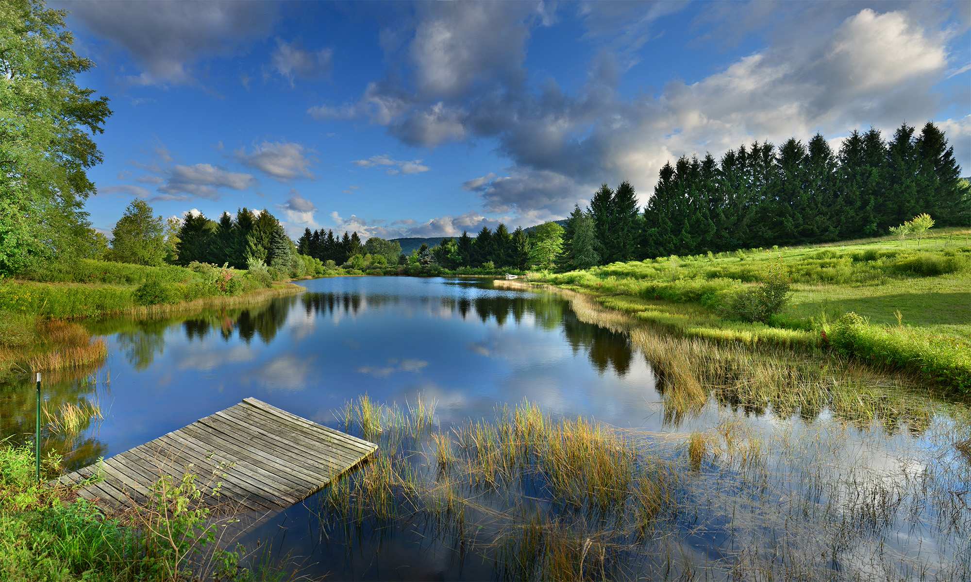 Underhill Forest and Farm
