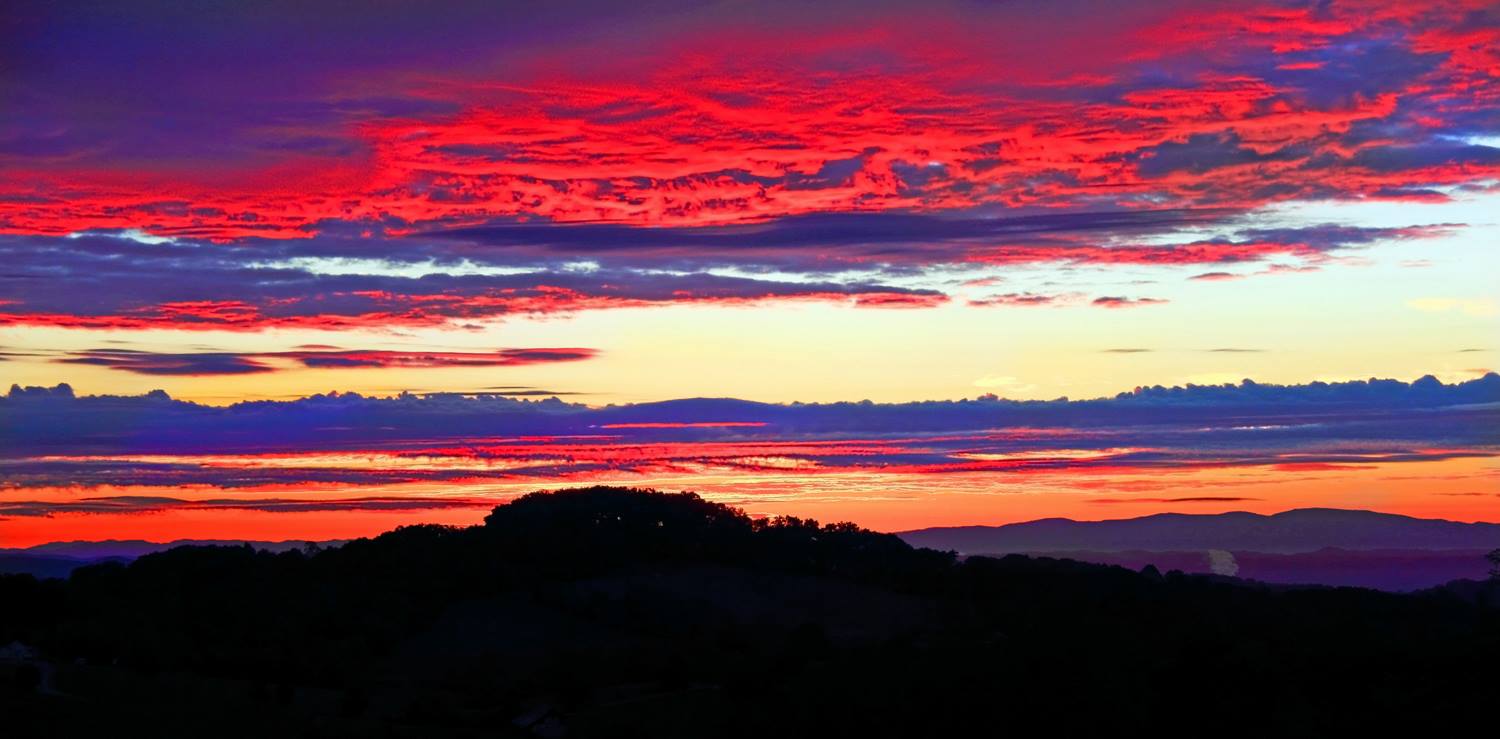 Evening colors!
