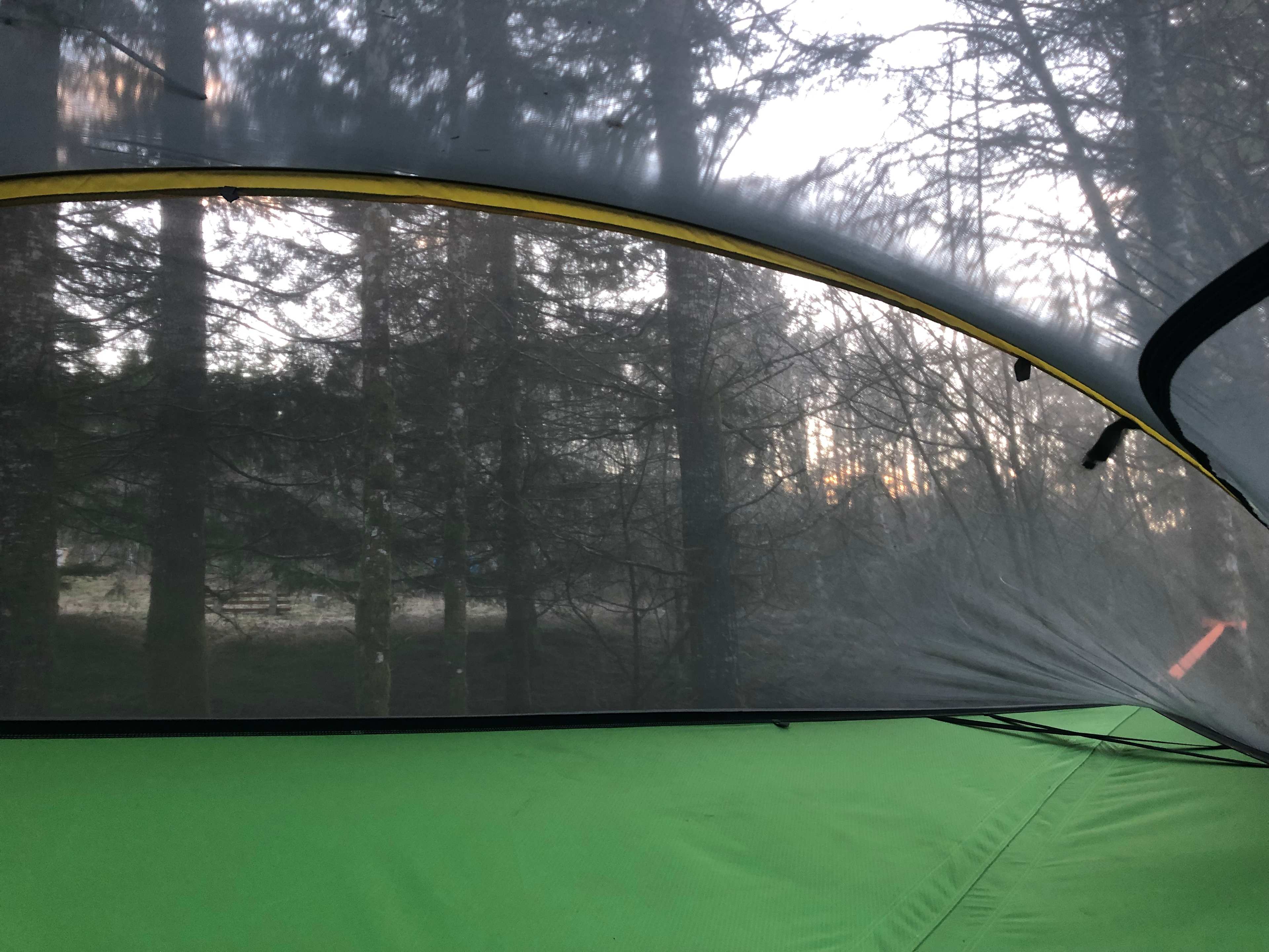 View from inside the tree tent.