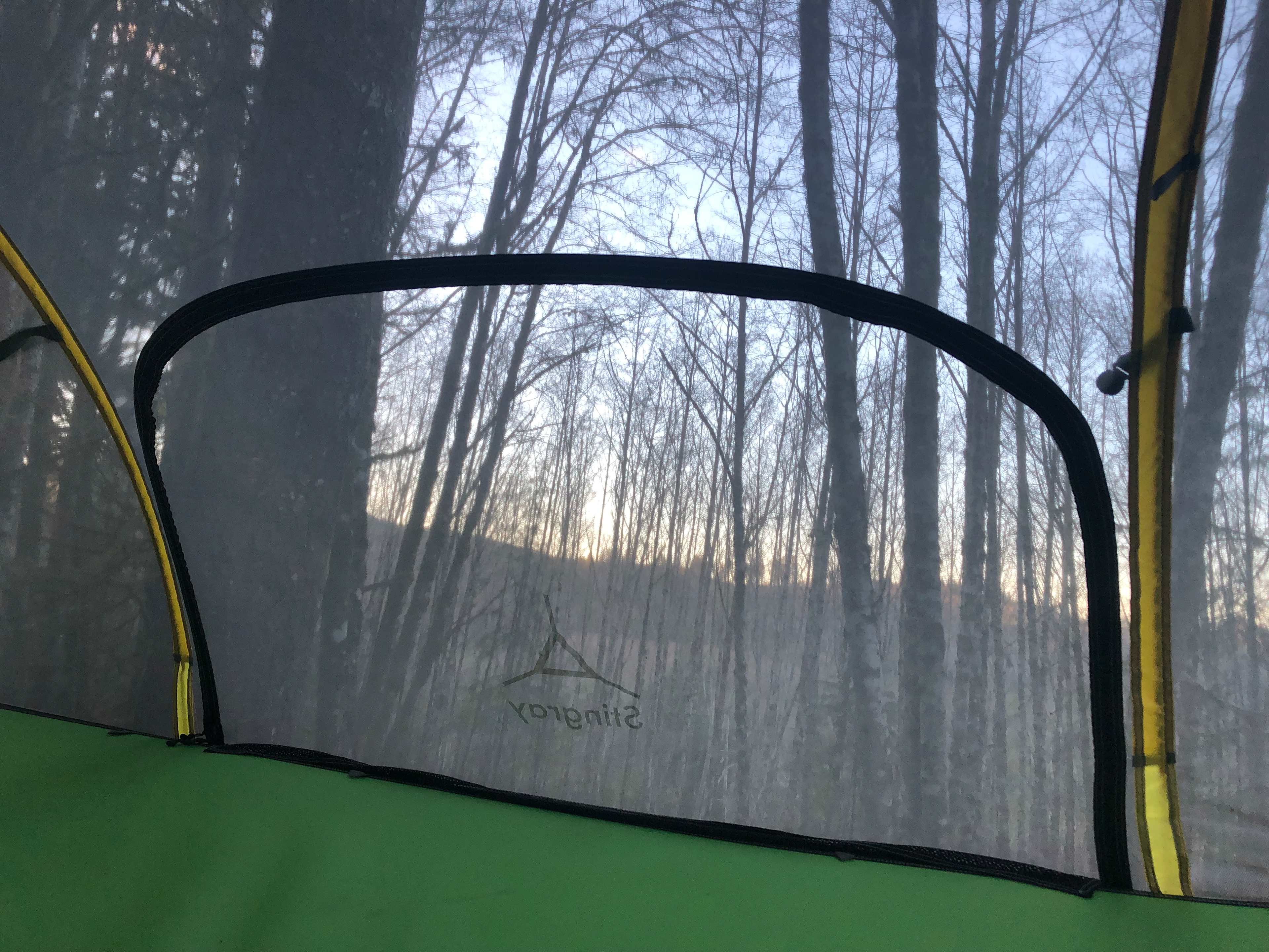 View from inside the tree tent.