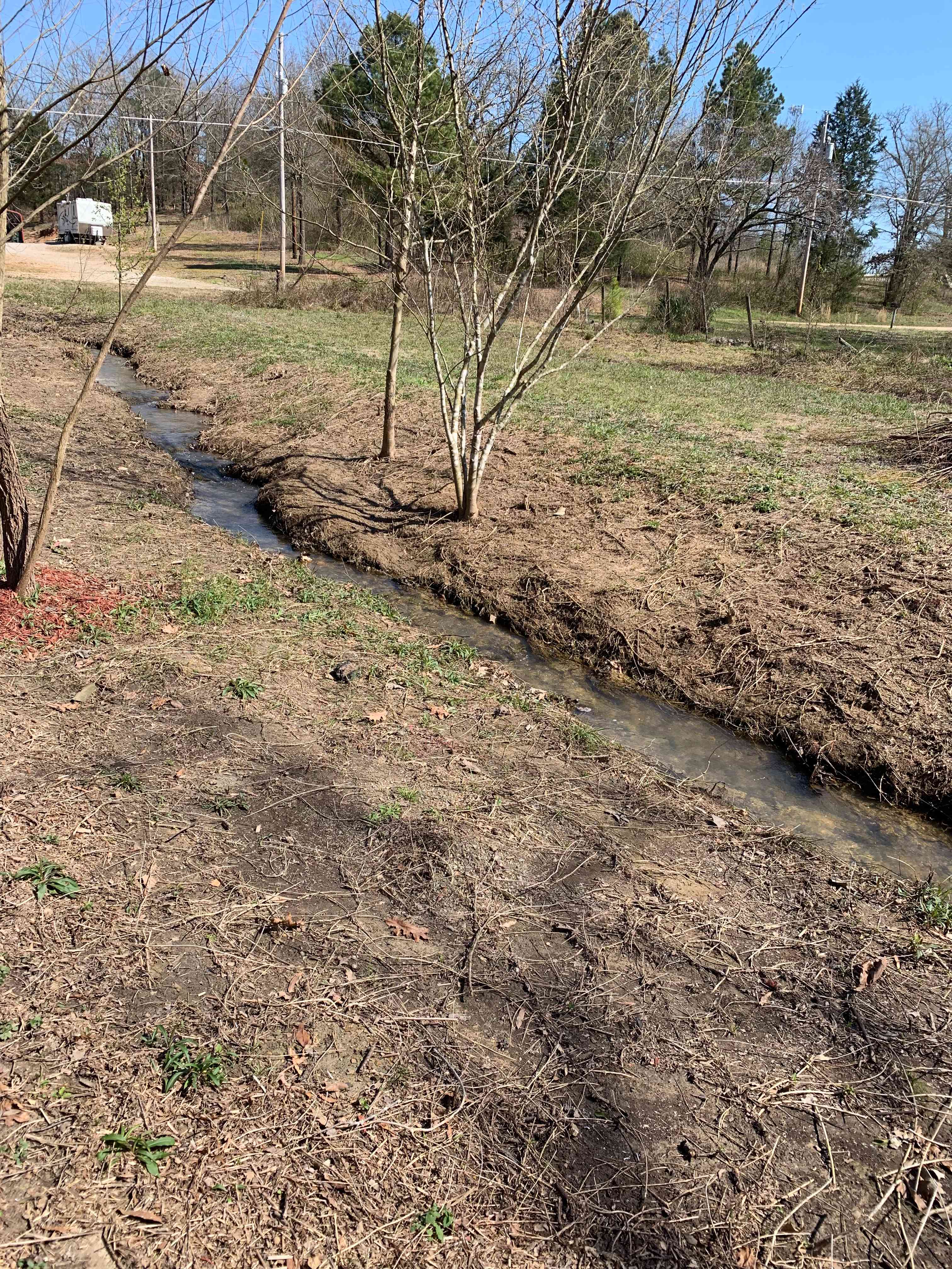Live creek 