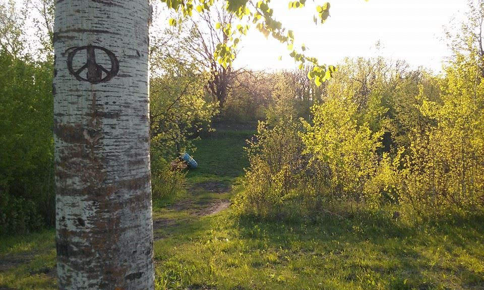 Pure Bliss Ranch - Hipcamp in Waubun, Minnesota